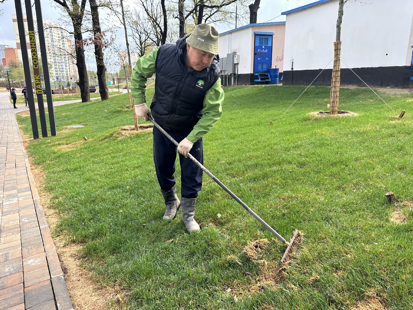 Одинцово, Союзный, Благоустройство, Газон, Парки Подмосковья