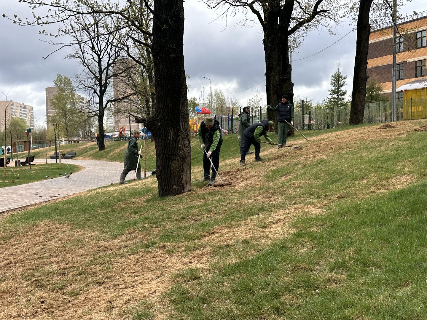 Одинцово, Союзный, Благоустройство, Газон, Парки Подмосковья