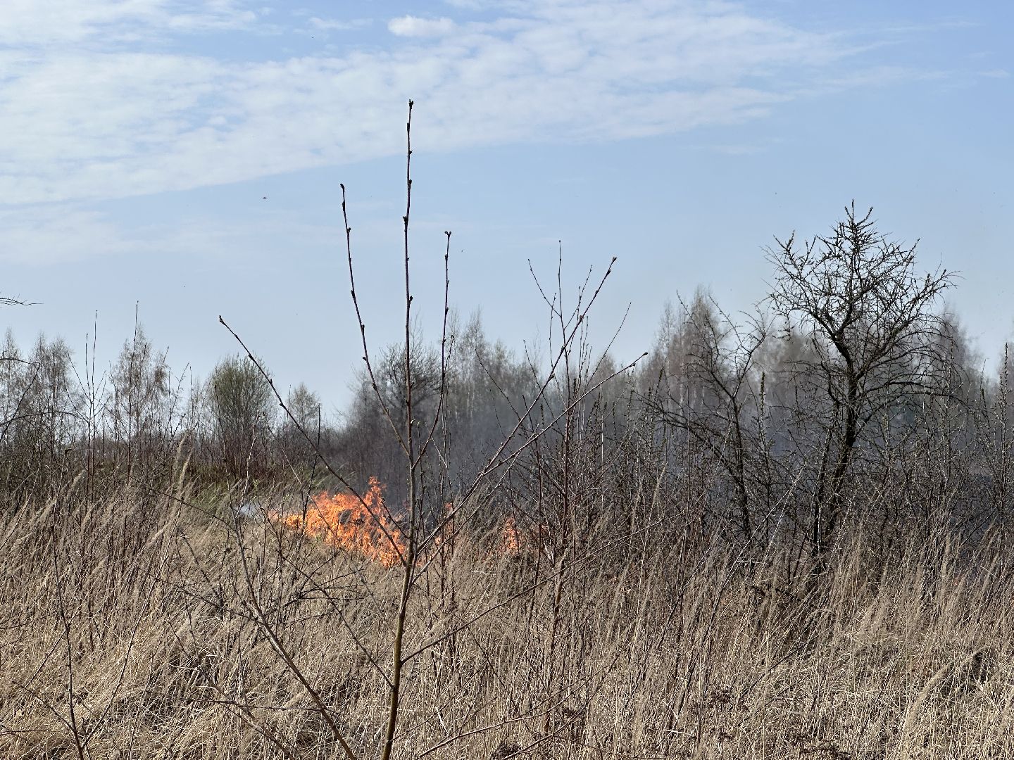 пожар, мчс, домодедово,