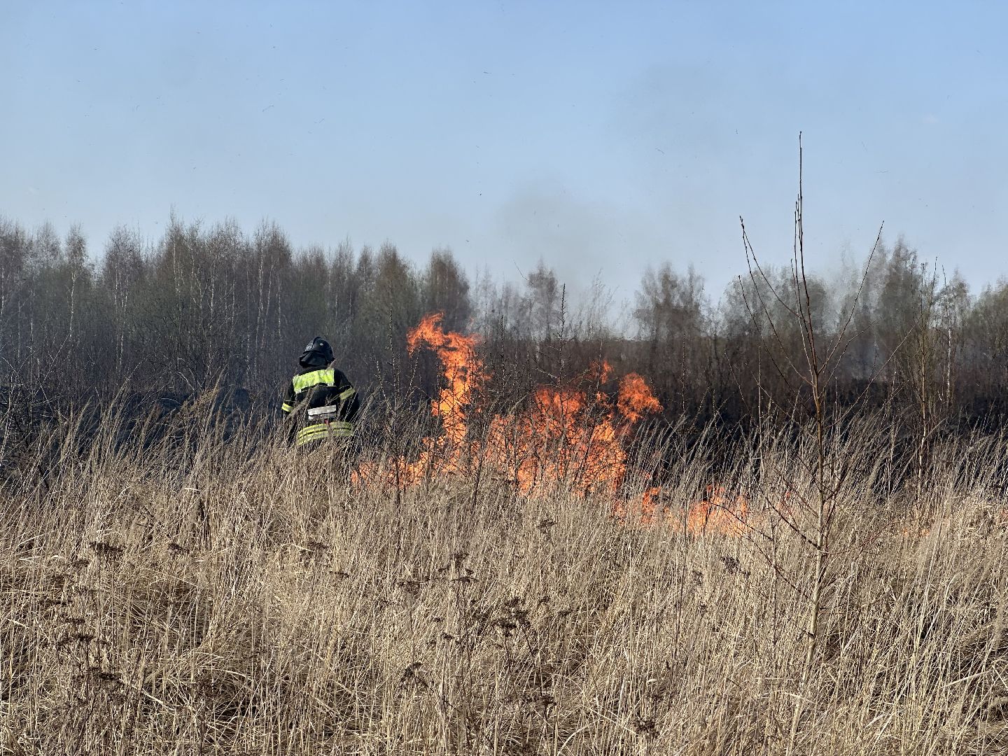 пожар, мчс, домодедово,