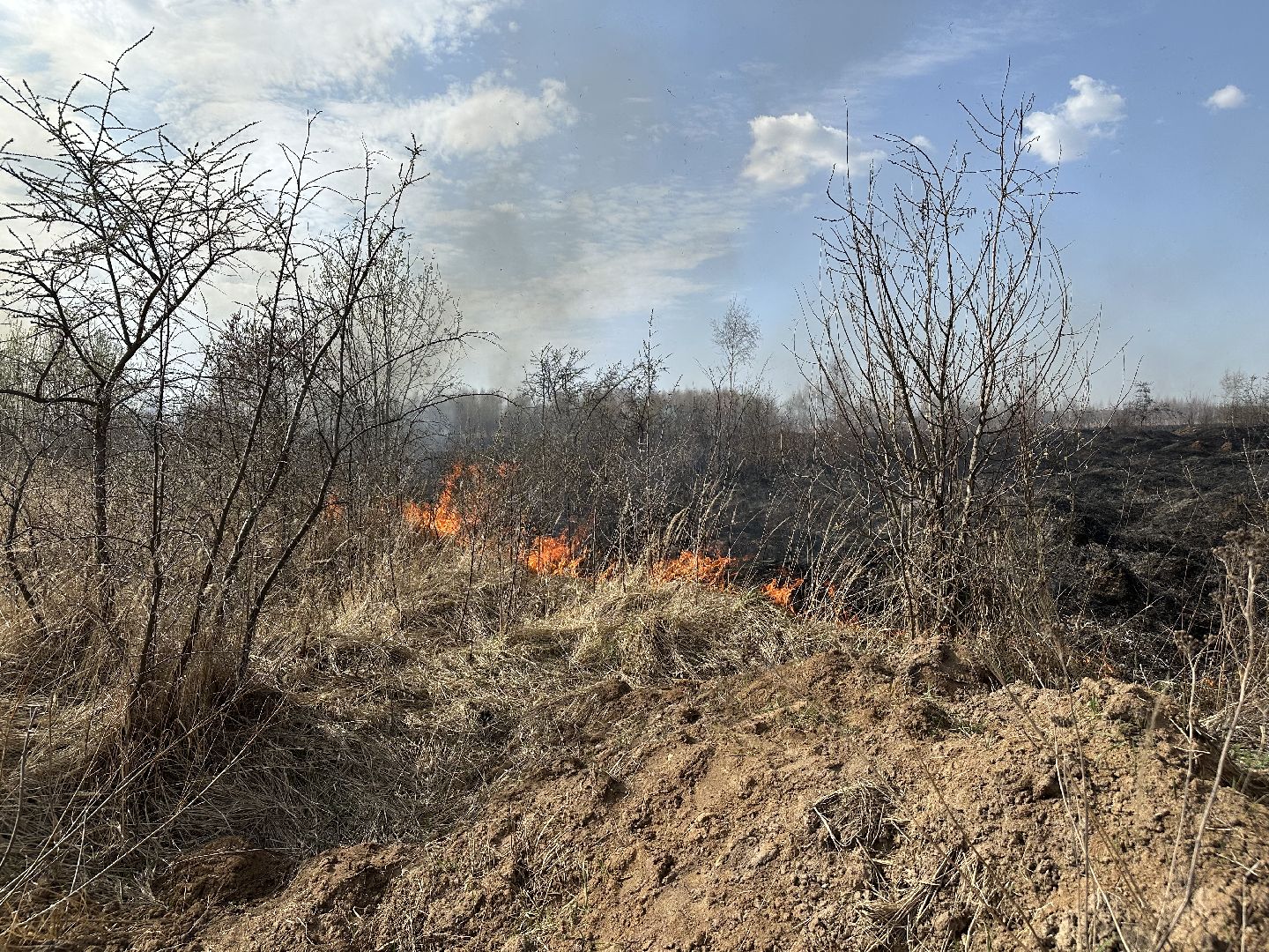 пожар, мчс, домодедово,