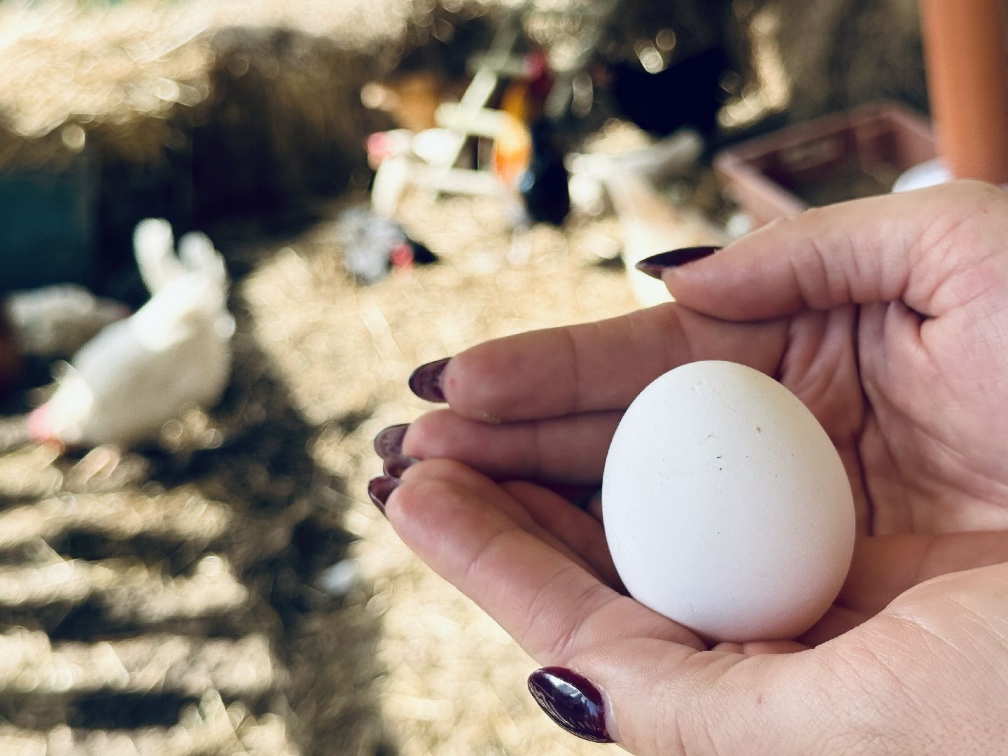 раменское, пасха, троицкий храм, троицкий храм раменское, освящение яиц,