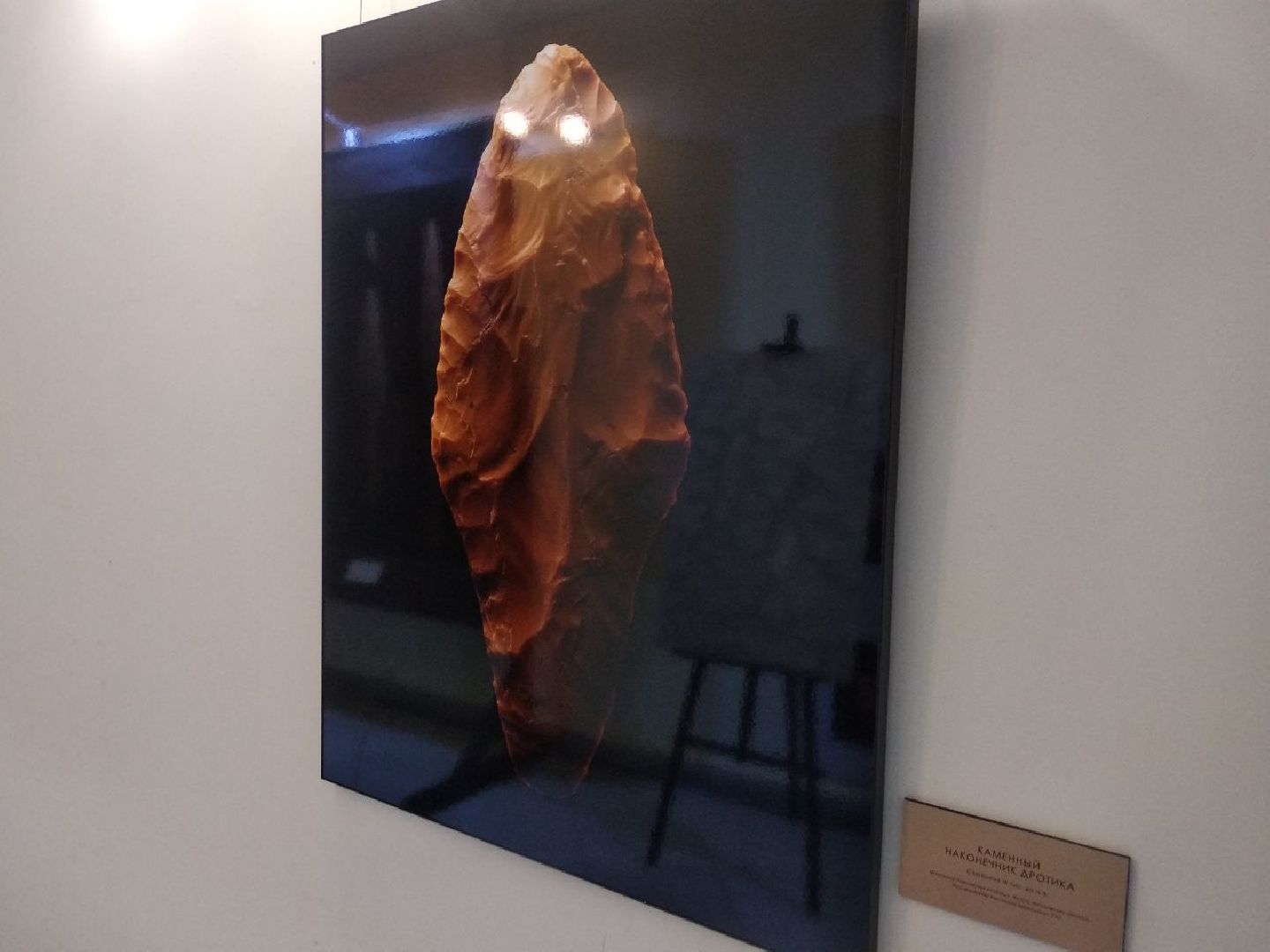 Дмитров, музей Дмитровский кремль, Институт археологии РАН