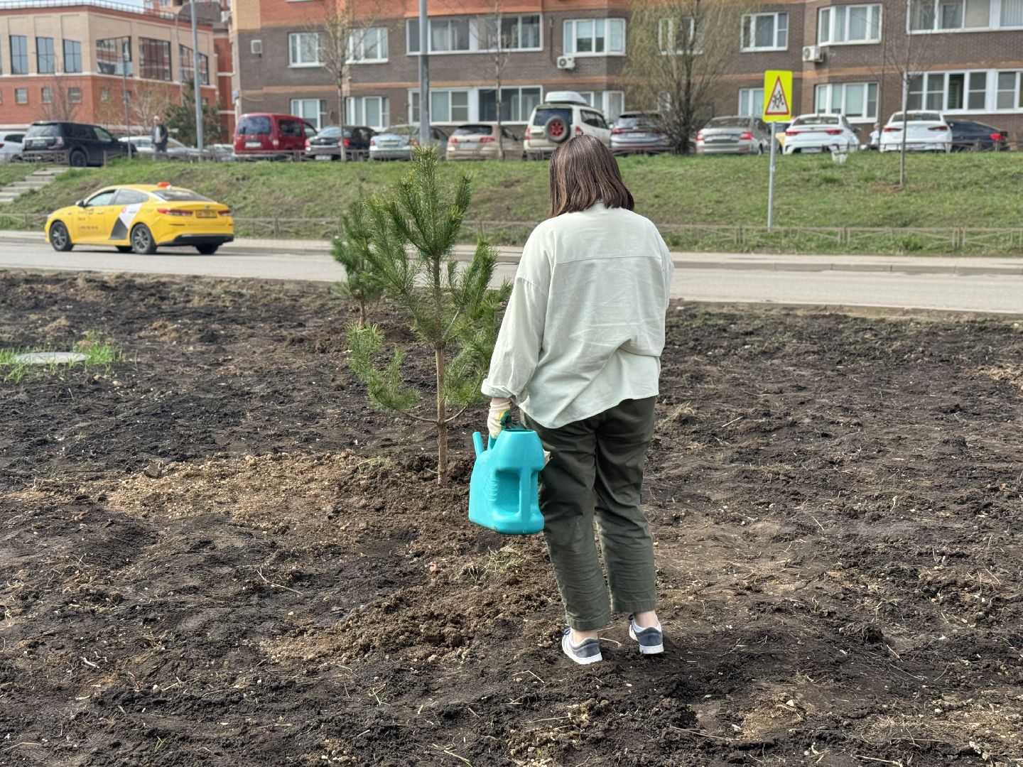 высадка деревьев, ленинский городской округ, субботник,