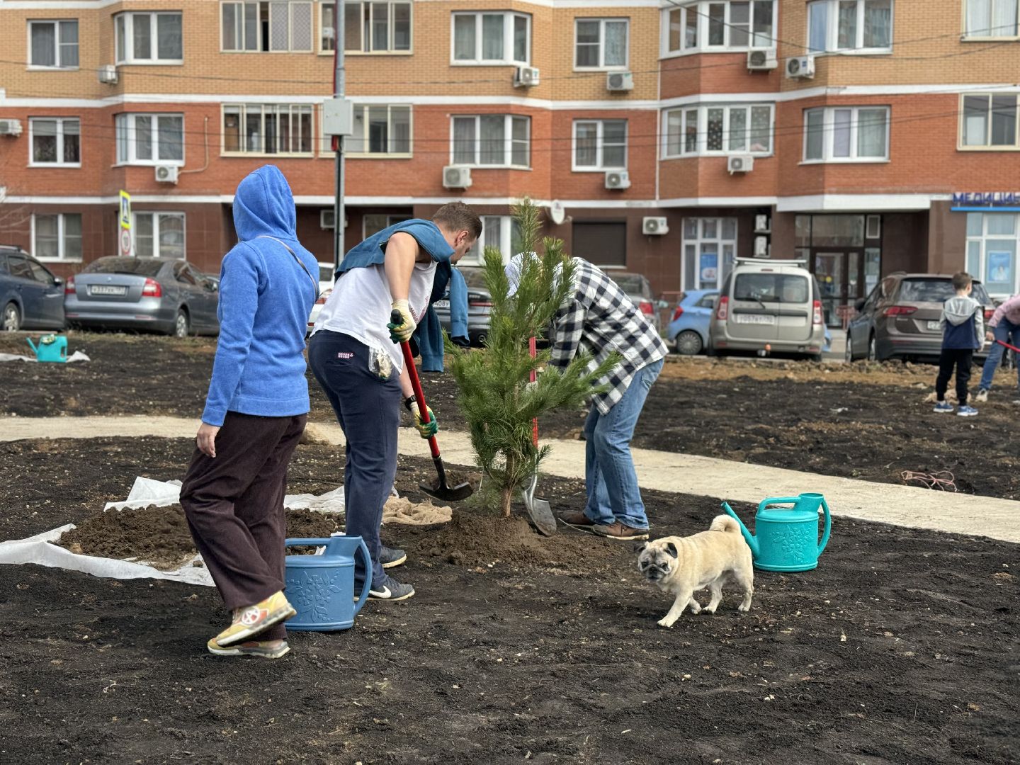 высадка деревьев, ленинский городской округ, субботник,