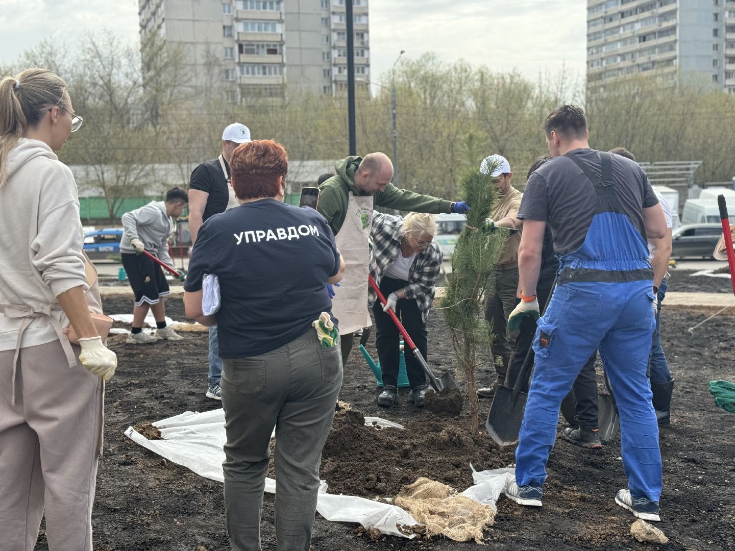 высадка деревьев, ленинский городской округ, субботник,