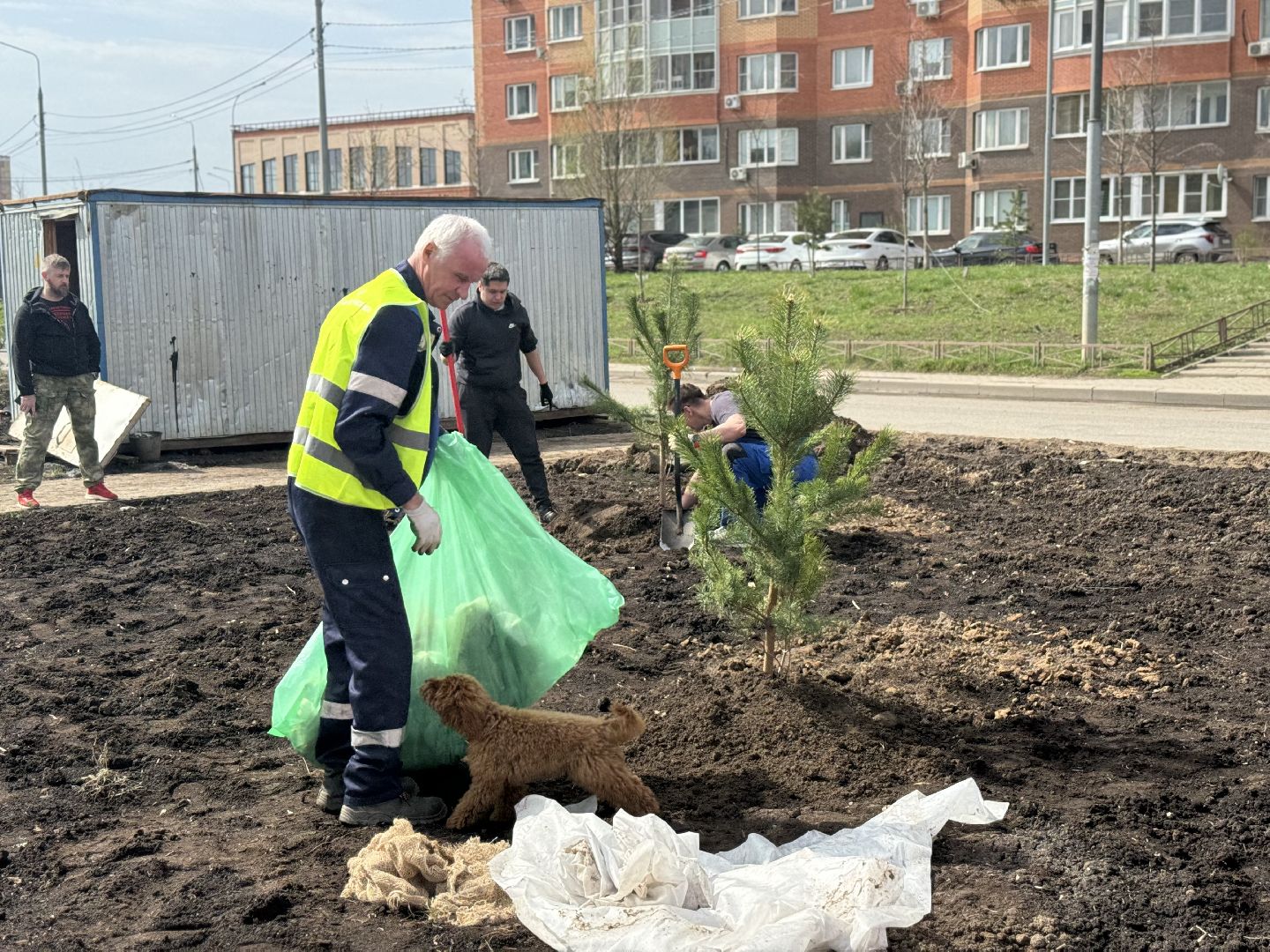 высадка деревьев, ленинский городской округ, субботник,