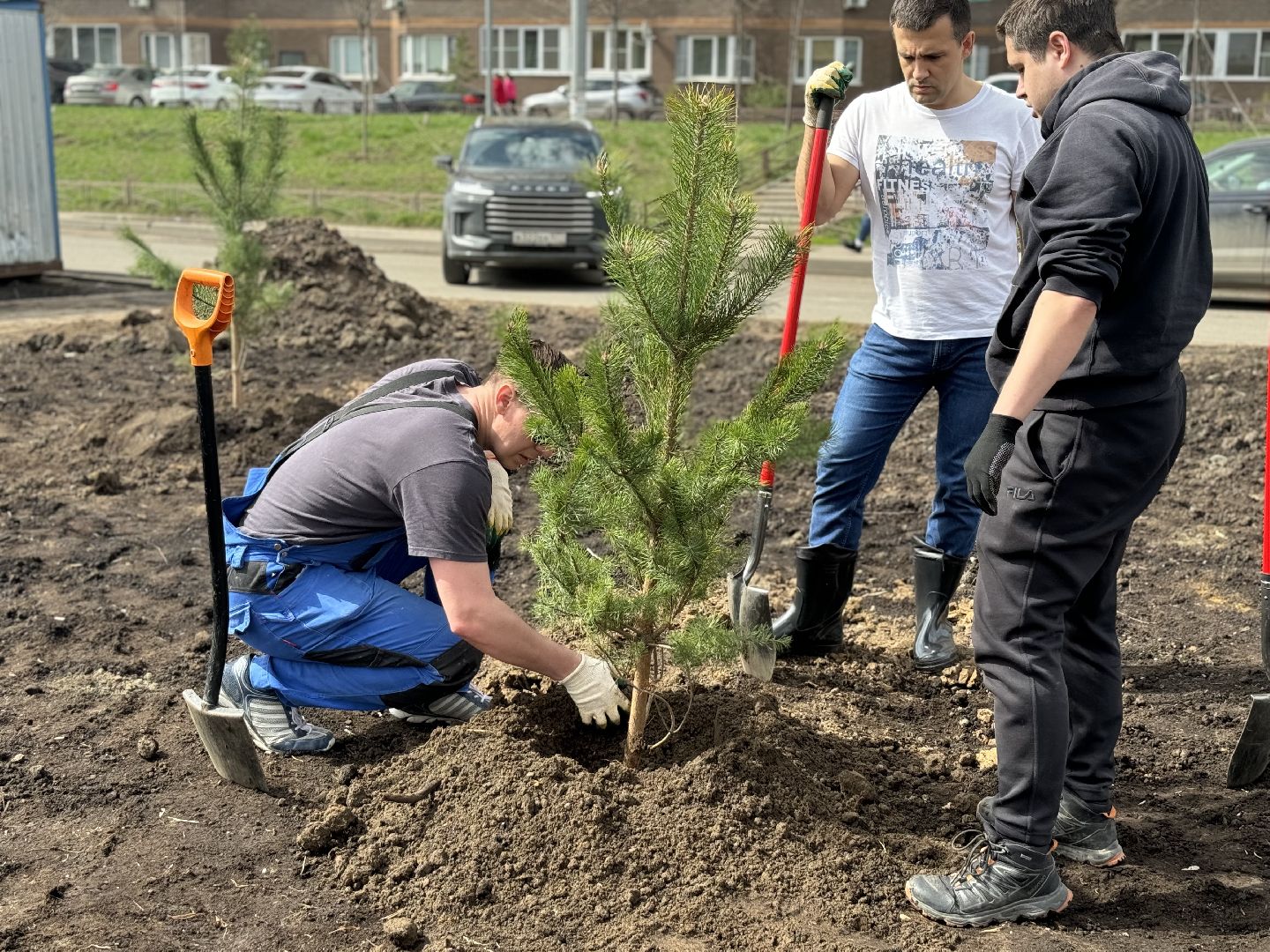 высадка деревьев, ленинский городской округ, субботник,