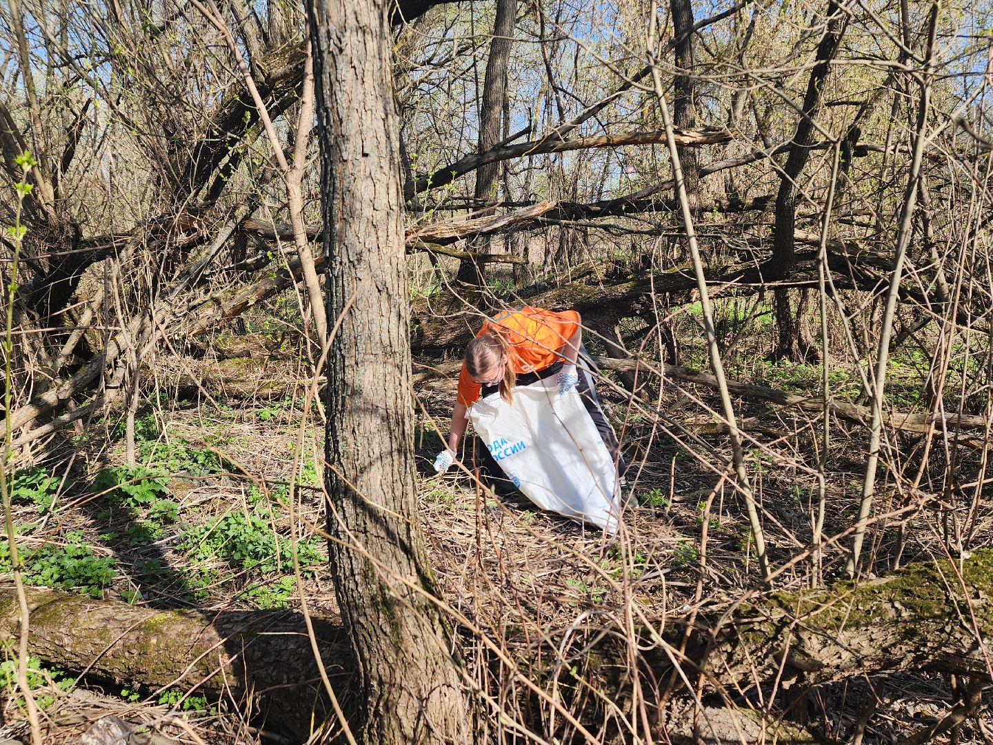 вода россии, субботник, мытищи,