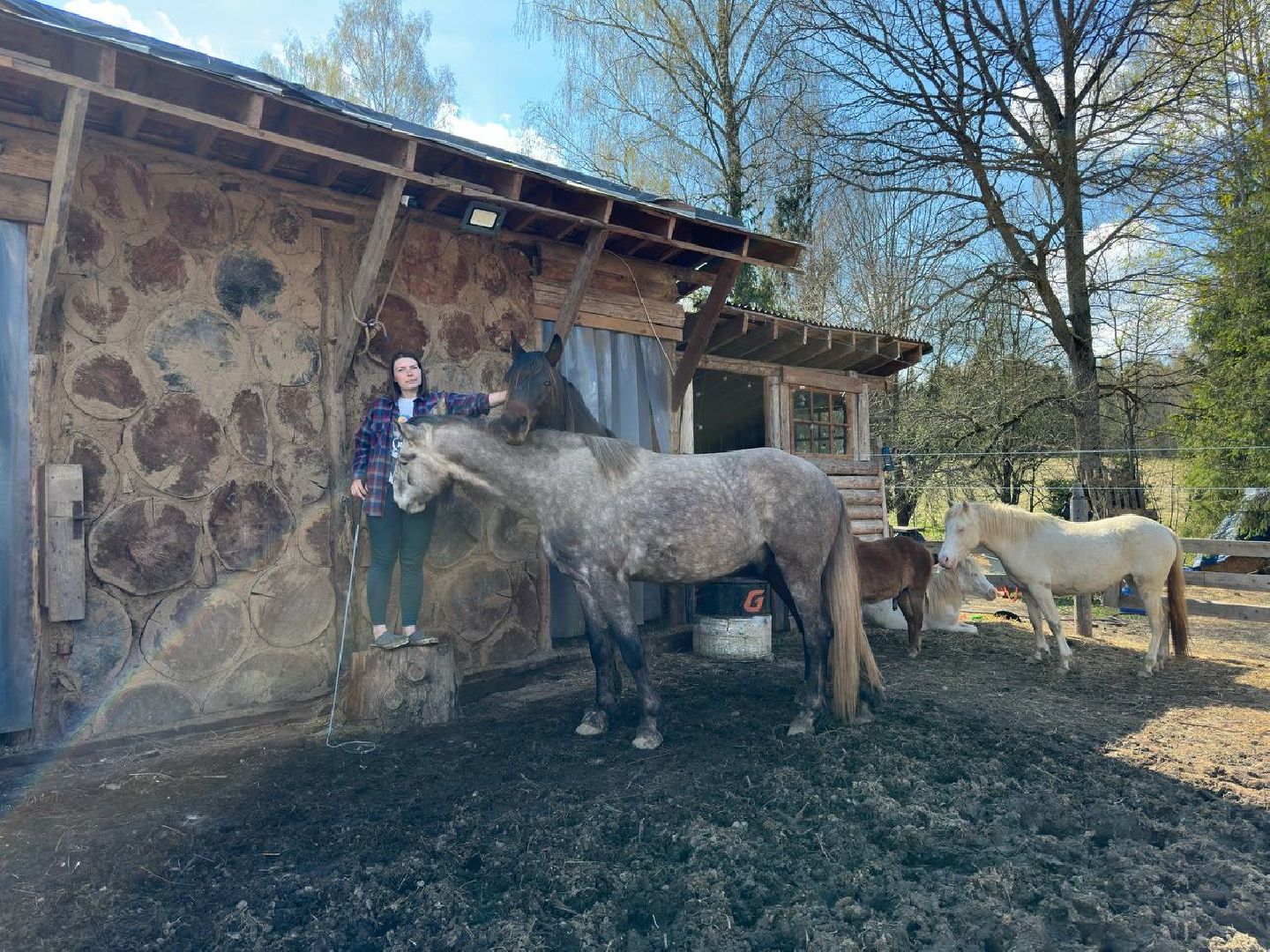 сергиево-посадский городской округ, лошади, туризм, Понихайкинг, Свободная ипповенция, Деревня Глебово,
