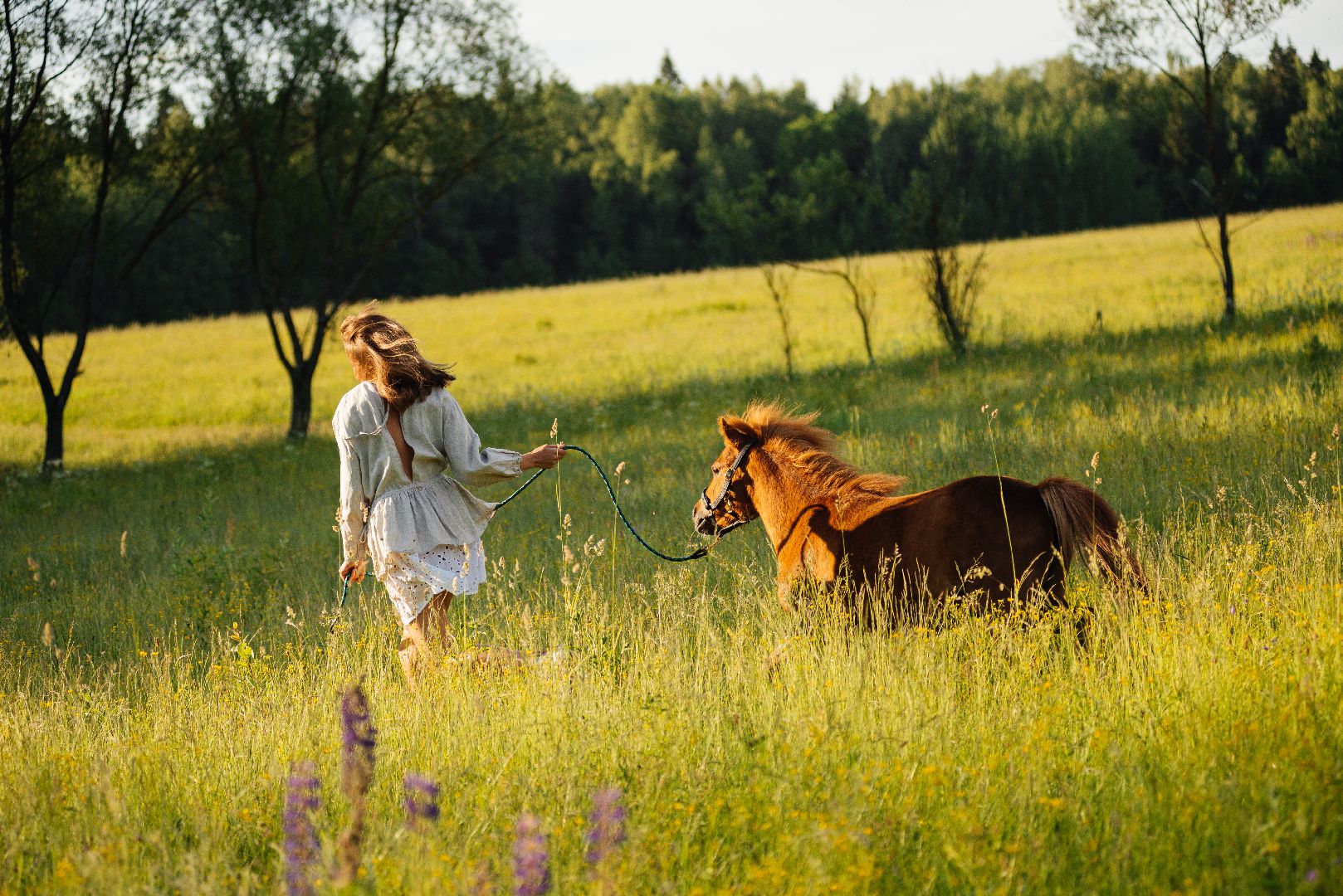 сергиево-посадский городской округ, лошади, туризм, Понихайкинг, Свободная ипповенция, Деревня Глебово,