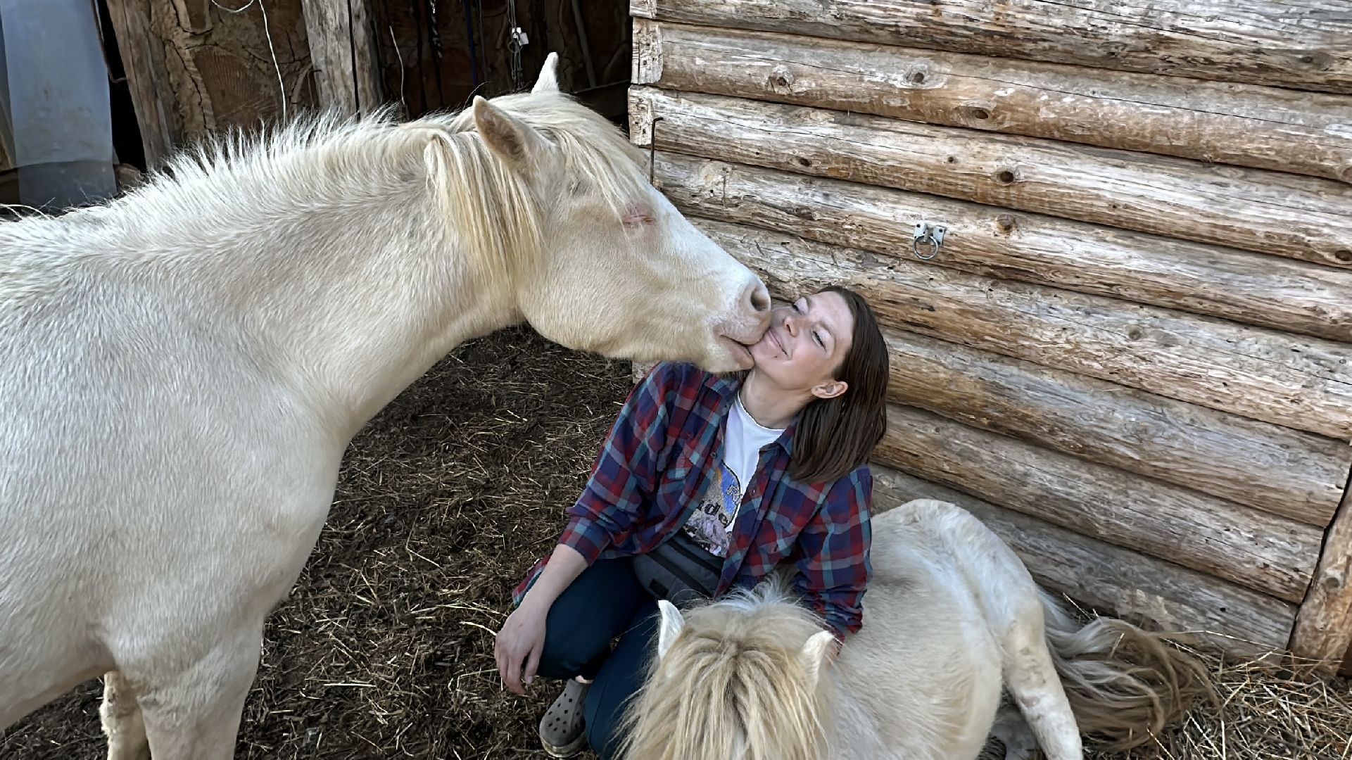 сергиево-посадский городской округ, лошади, туризм, Понихайкинг, Свободная ипповенция, Деревня Глебово,