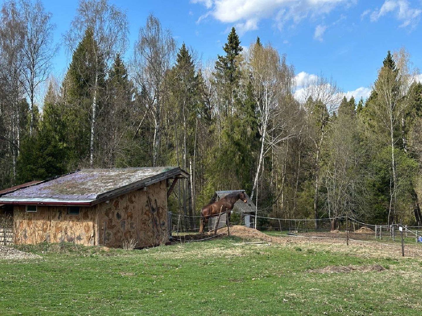 сергиево-посадский городской округ, лошади, туризм, Понихайкинг, Свободная ипповенция, Деревня Глебово,