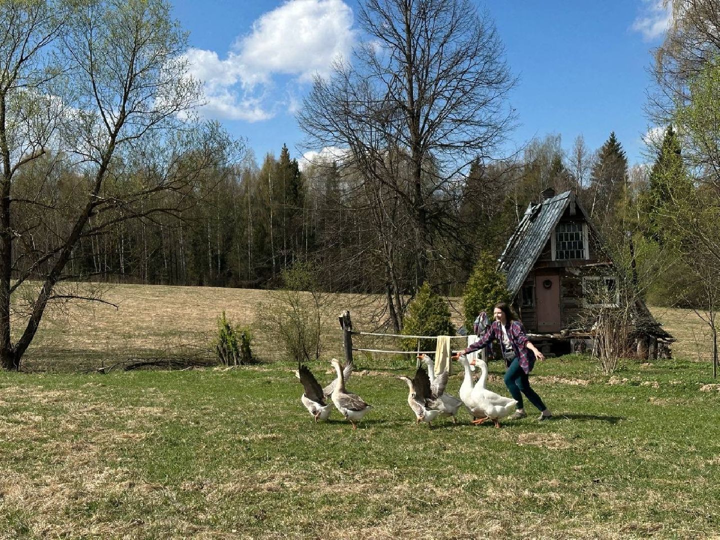 сергиево-посадский городской округ, лошади, туризм, Понихайкинг, Свободная ипповенция, Деревня Глебово,