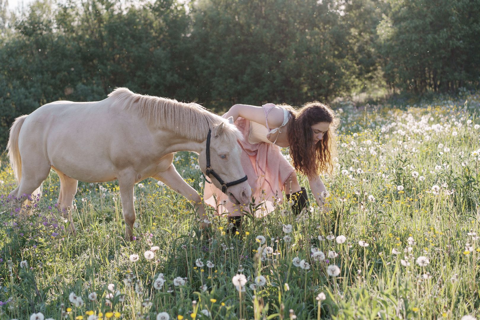сергиево-посадский городской округ, лошади, туризм, Понихайкинг, Свободная ипповенция, Деревня Глебово,