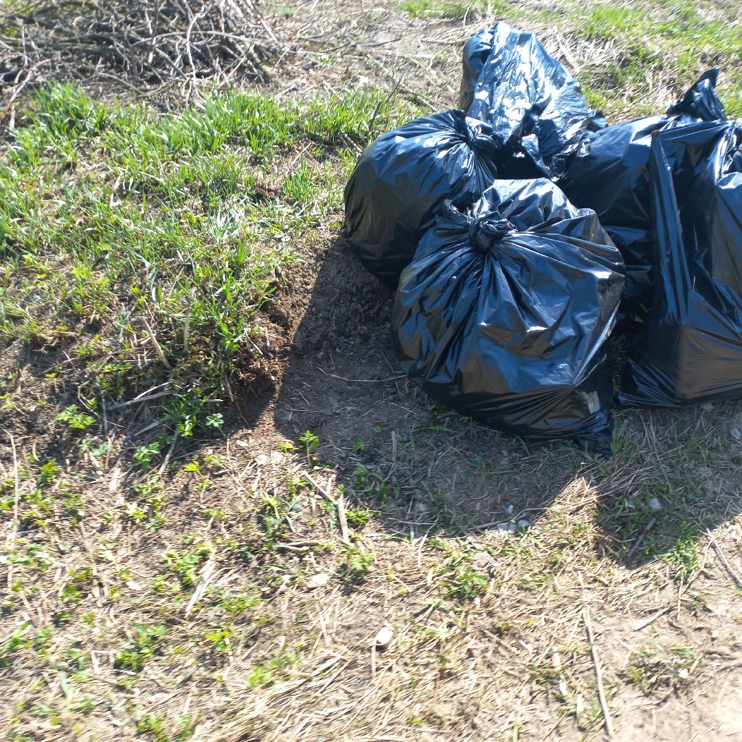 сергиев посад, хотьково, субботник, благоуствойство,