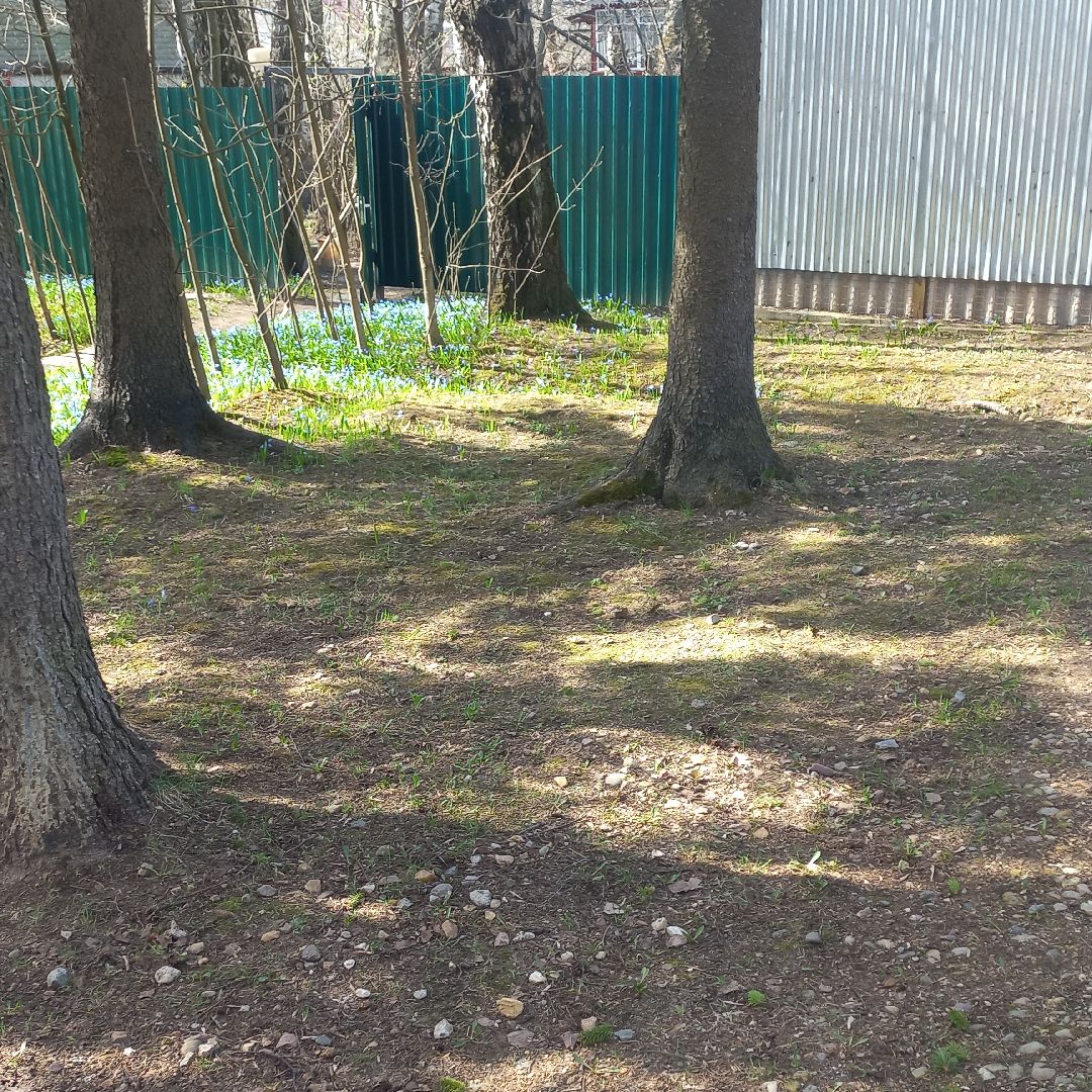 сергиев посад, хотьково, субботник, благоуствойство,