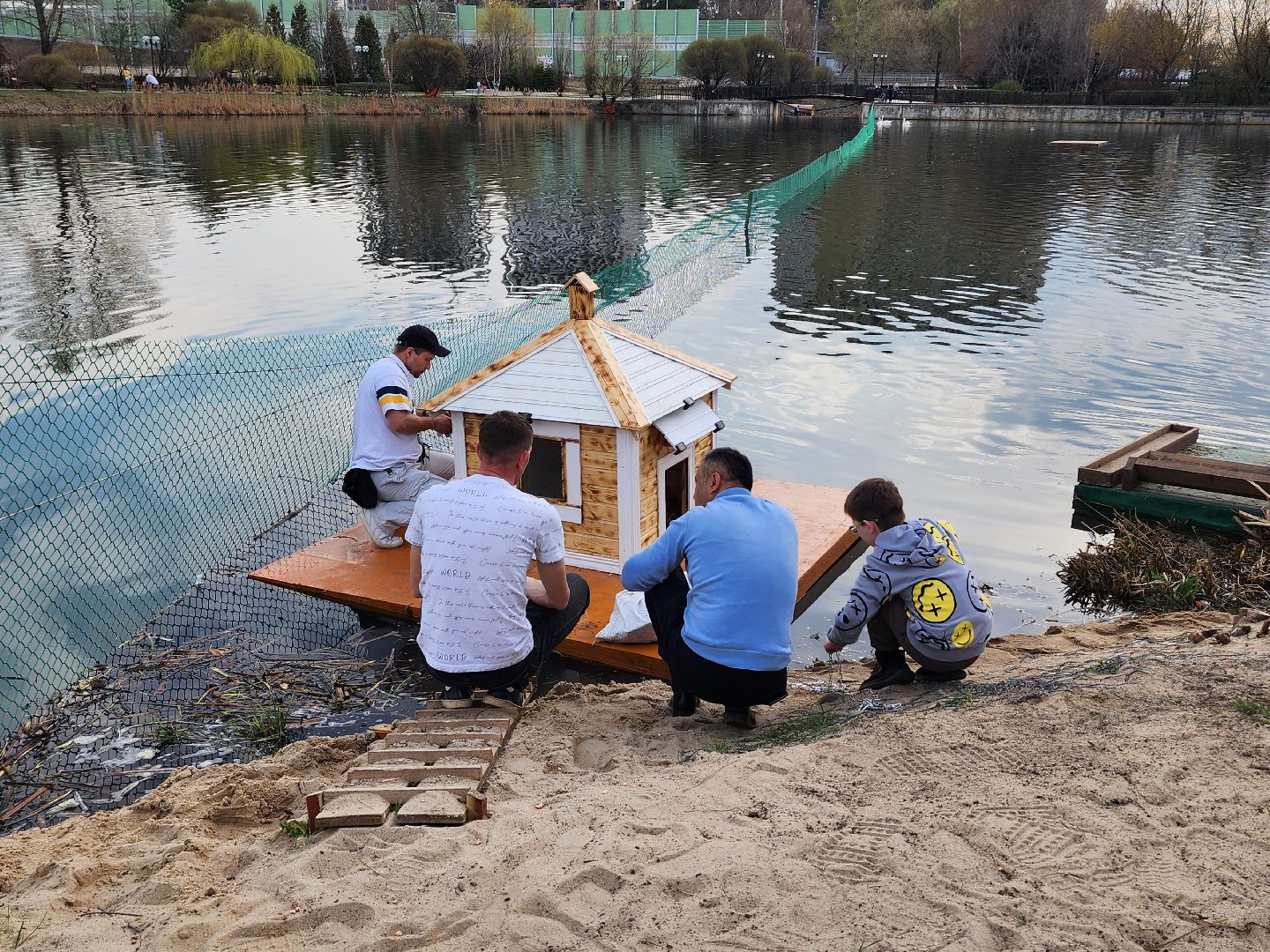 мытищи, лебеди,