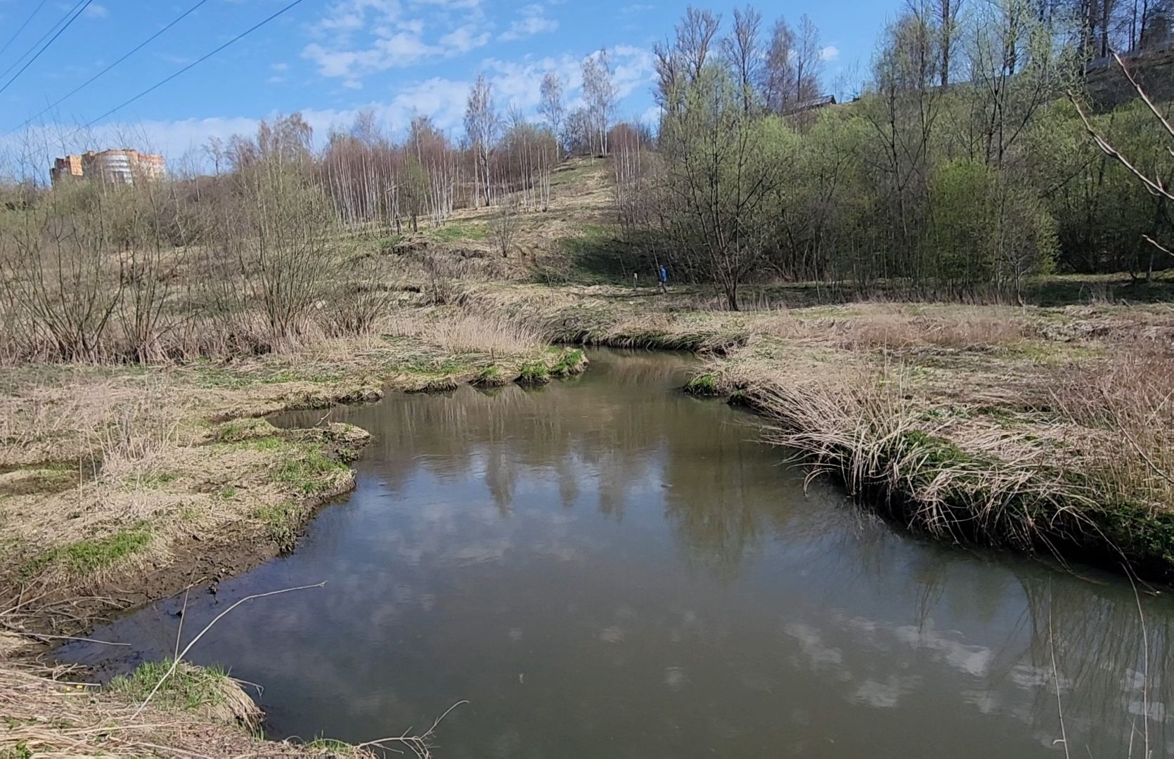 уборка, субботник, акция, весна,