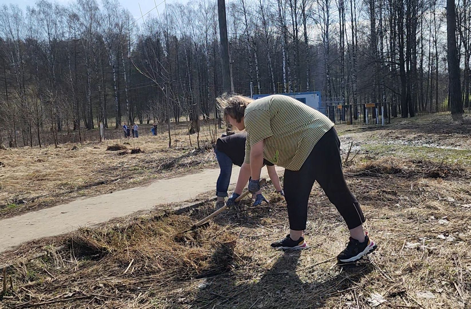 уборка, субботник, акция, весна,