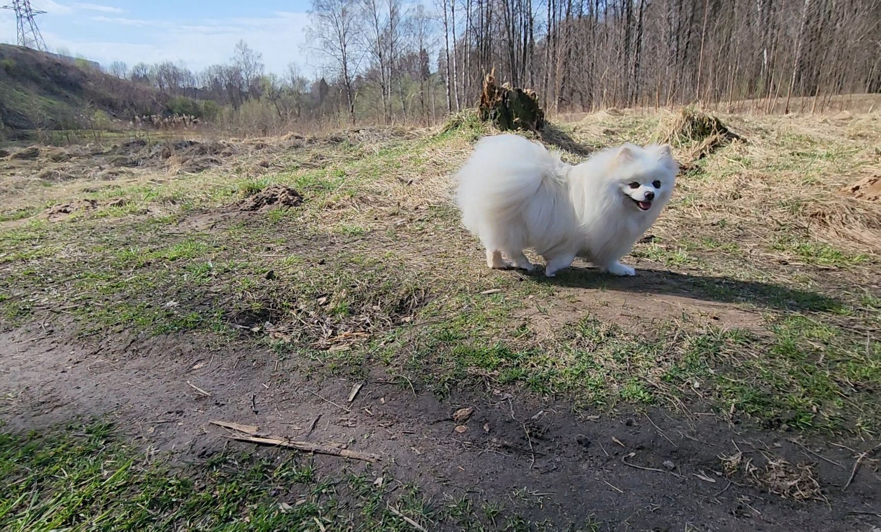 уборка, субботник, акция, весна,