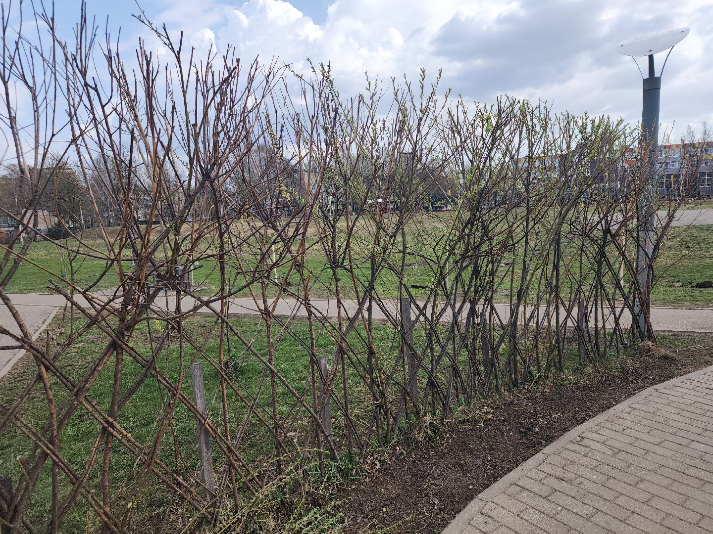 сергиев посад,  благоустройство, субботник,андрей мардасов, тимофей лагутин,