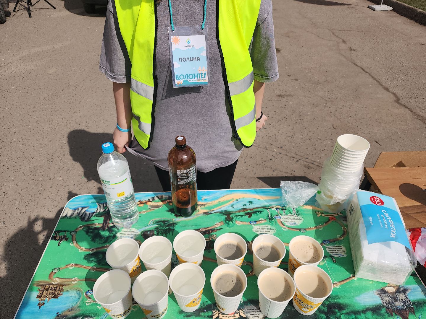 сергиев посад,  благоустройство, субботник,андрей мардасов, тимофей лагутин,