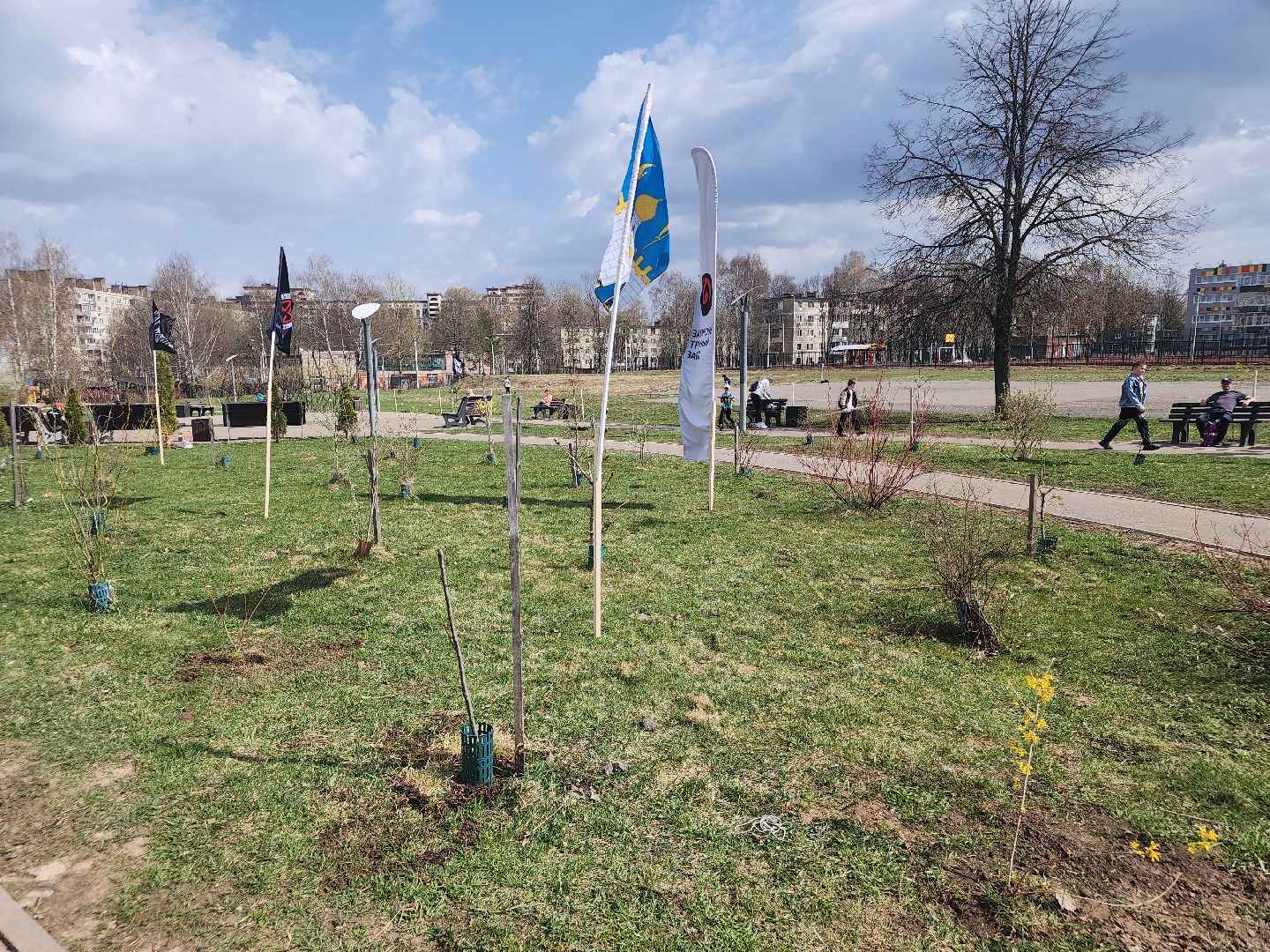 сергиев посад,  благоустройство, субботник,андрей мардасов, тимофей лагутин,
