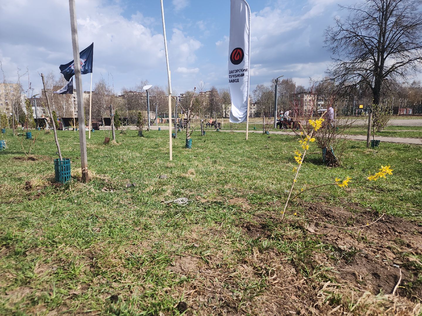 сергиев посад,  благоустройство, субботник,андрей мардасов, тимофей лагутин,