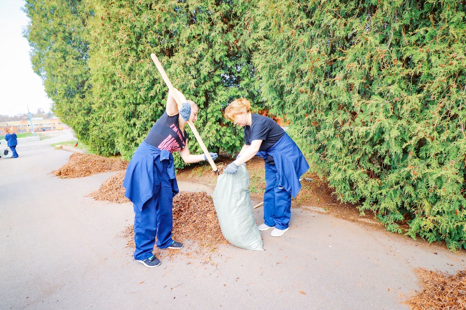 клин, общество, субботник, экономика, благоустройство,