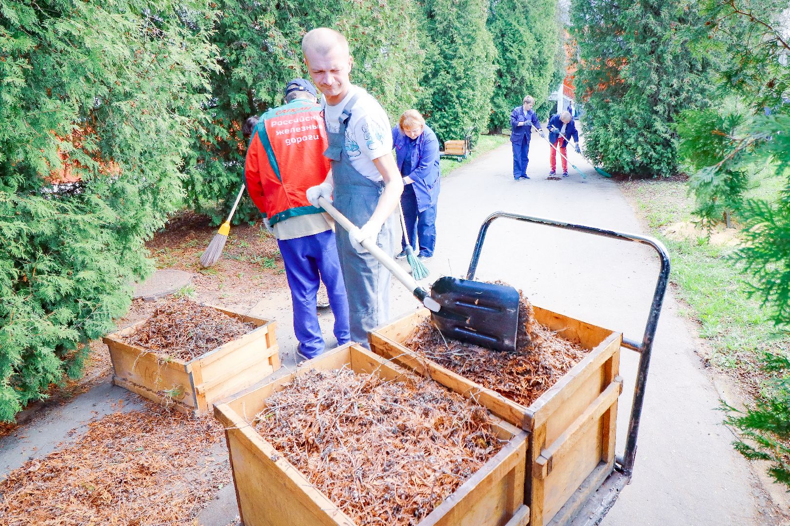 клин, общество, субботник, экономика, благоустройство,
