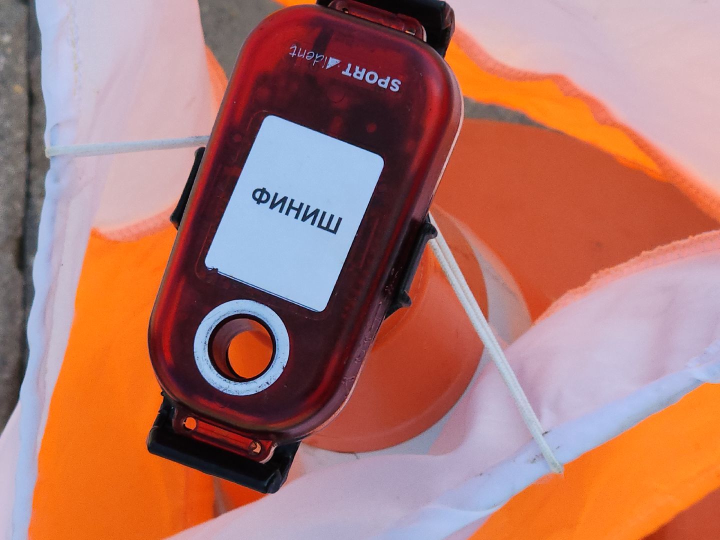 сергиев посад, хотьково, сергиево-посадский городской округ, спортивное ориентирование, чемпионат,  московская область,