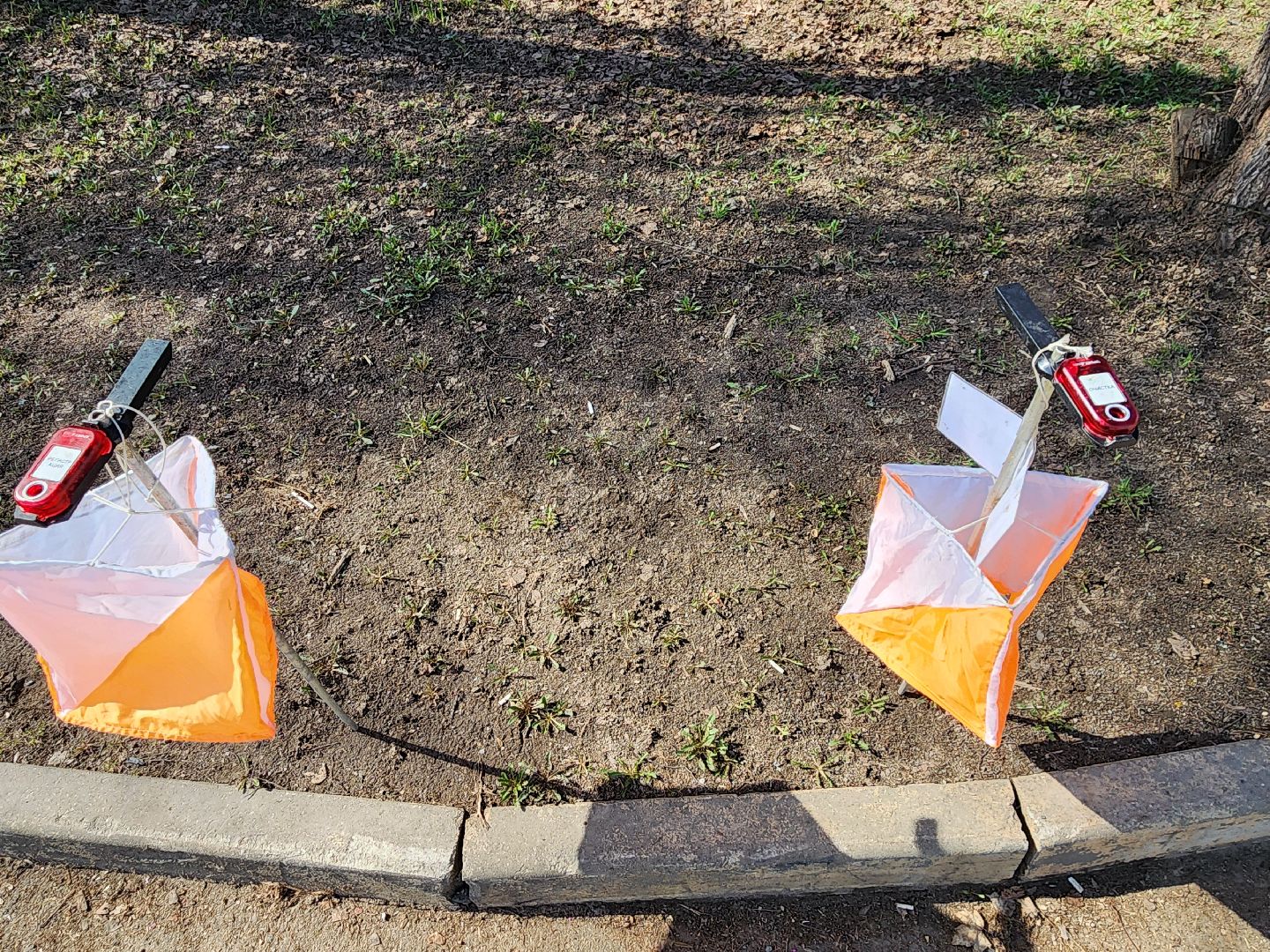 сергиев посад, хотьково, сергиево-посадский городской округ, спортивное ориентирование, чемпионат,  московская область,