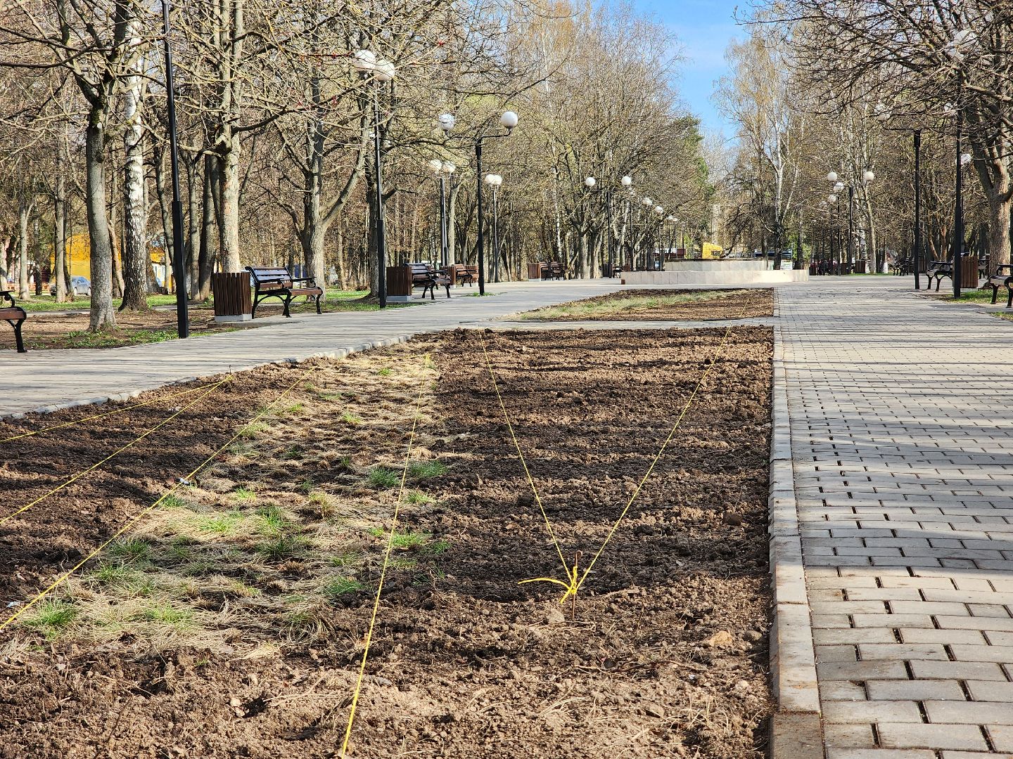королёв, благоустройство , живые цветы, парки королева,
