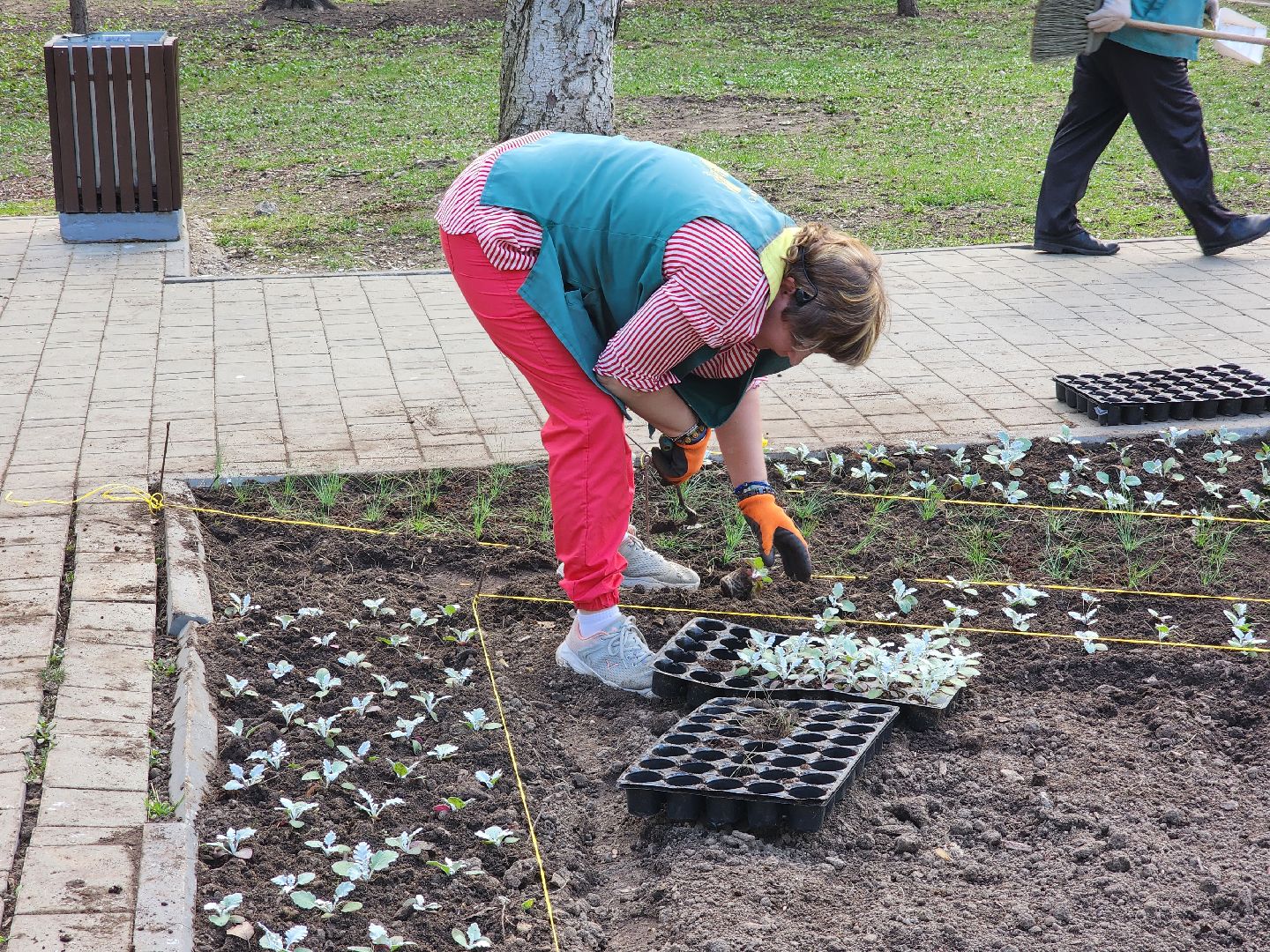 королёв, благоустройство , живые цветы, парки королева,
