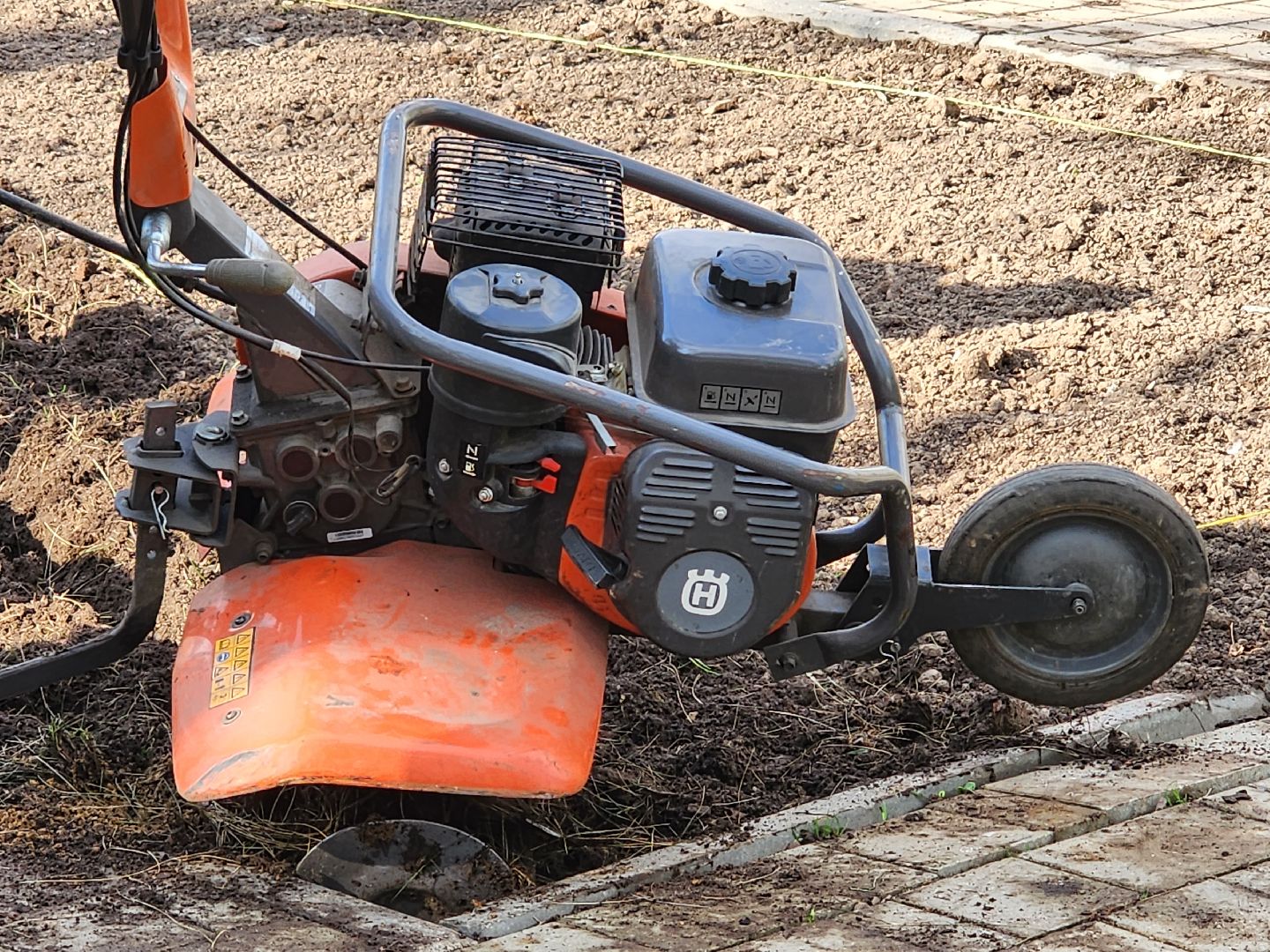 королёв, благоустройство , живые цветы, парки королева,