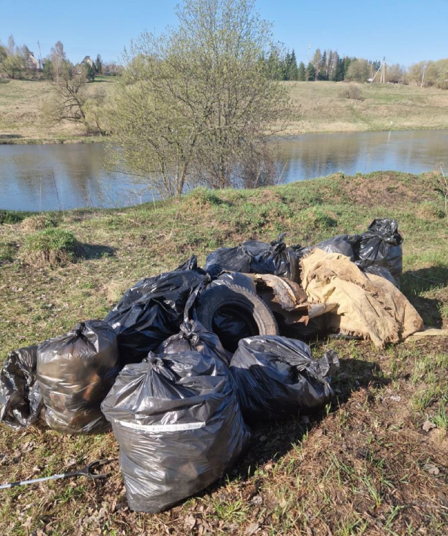 Экология, Москва-река-2025, Люди Звенигорода,Субботники,