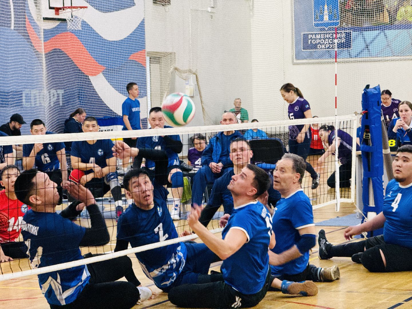 раменское, спорт, волейбол сидя, дворец спорта борисоглебский,
