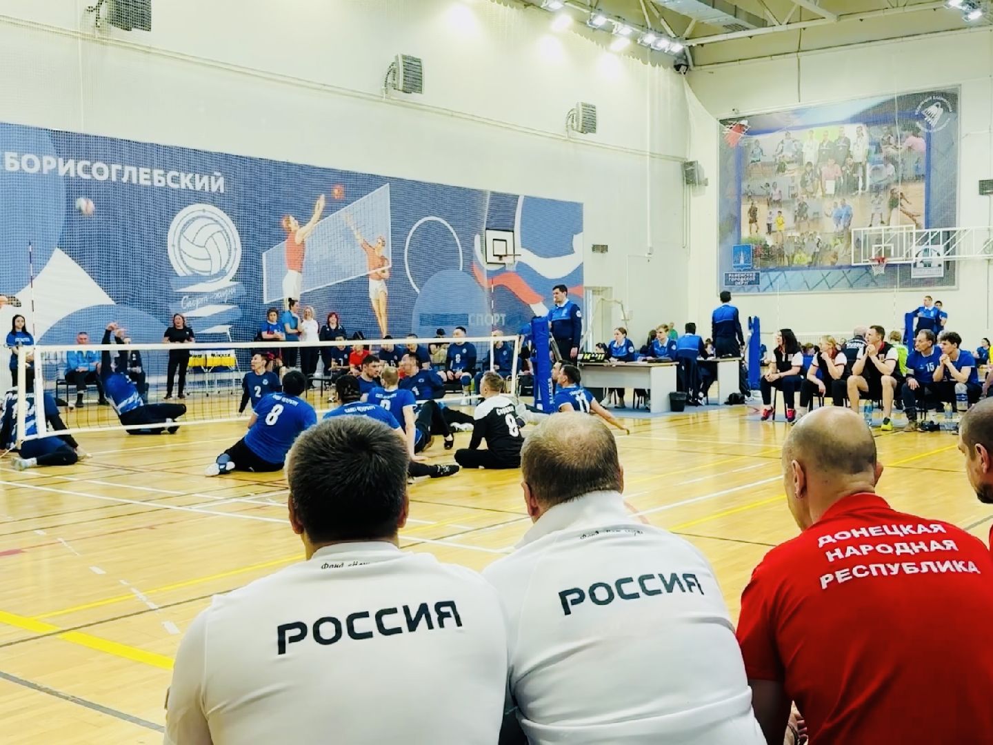 раменское, спорт, волейбол сидя, дворец спорта борисоглебский,