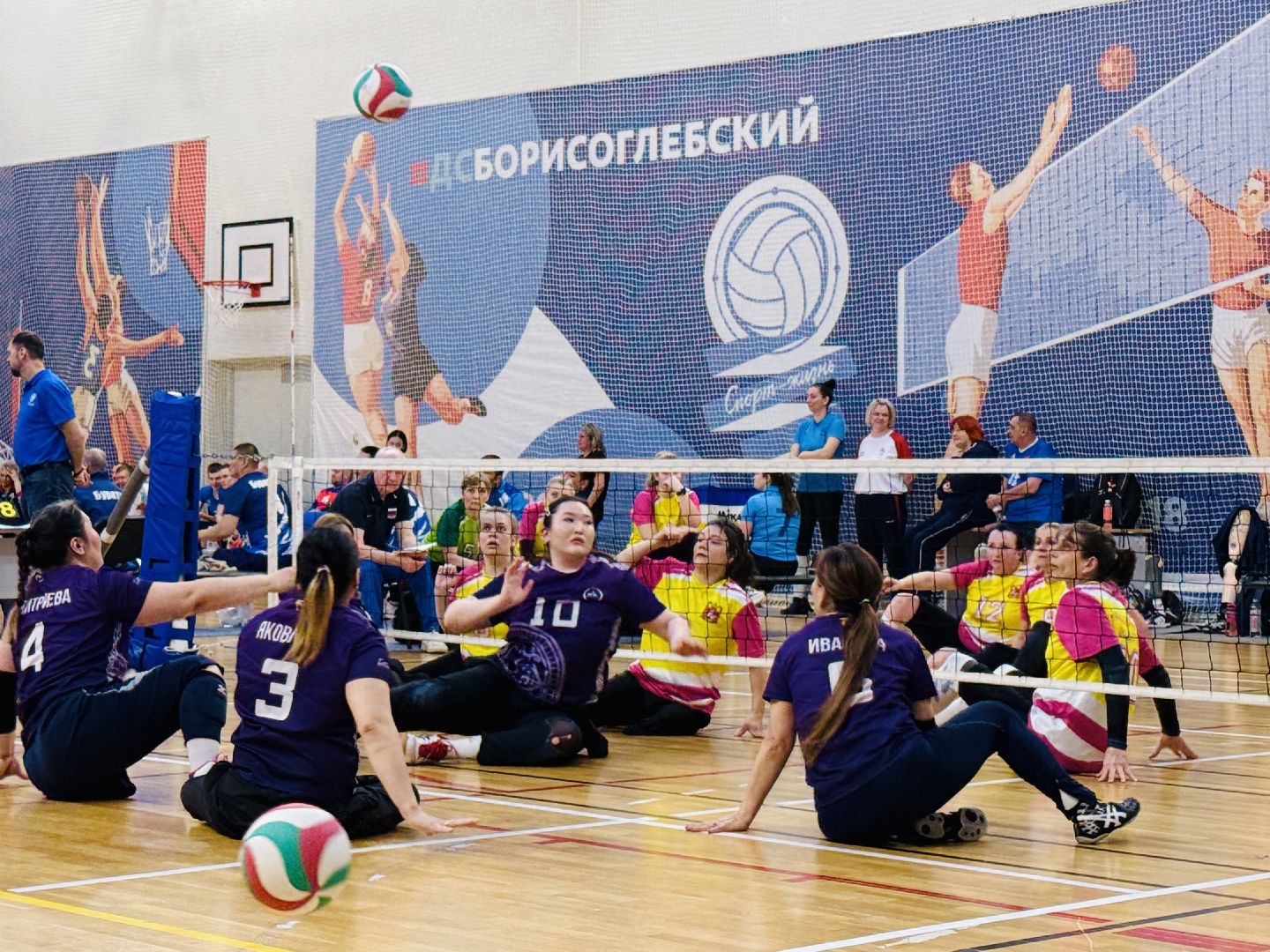 раменское, спорт, волейбол сидя, дворец спорта борисоглебский,