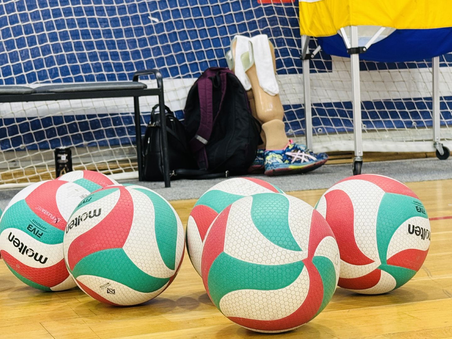 раменское, спорт, волейбол сидя, дворец спорта борисоглебский,