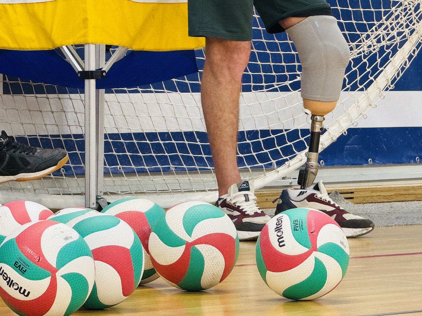 раменское, спорт, волейбол сидя, дворец спорта борисоглебский,