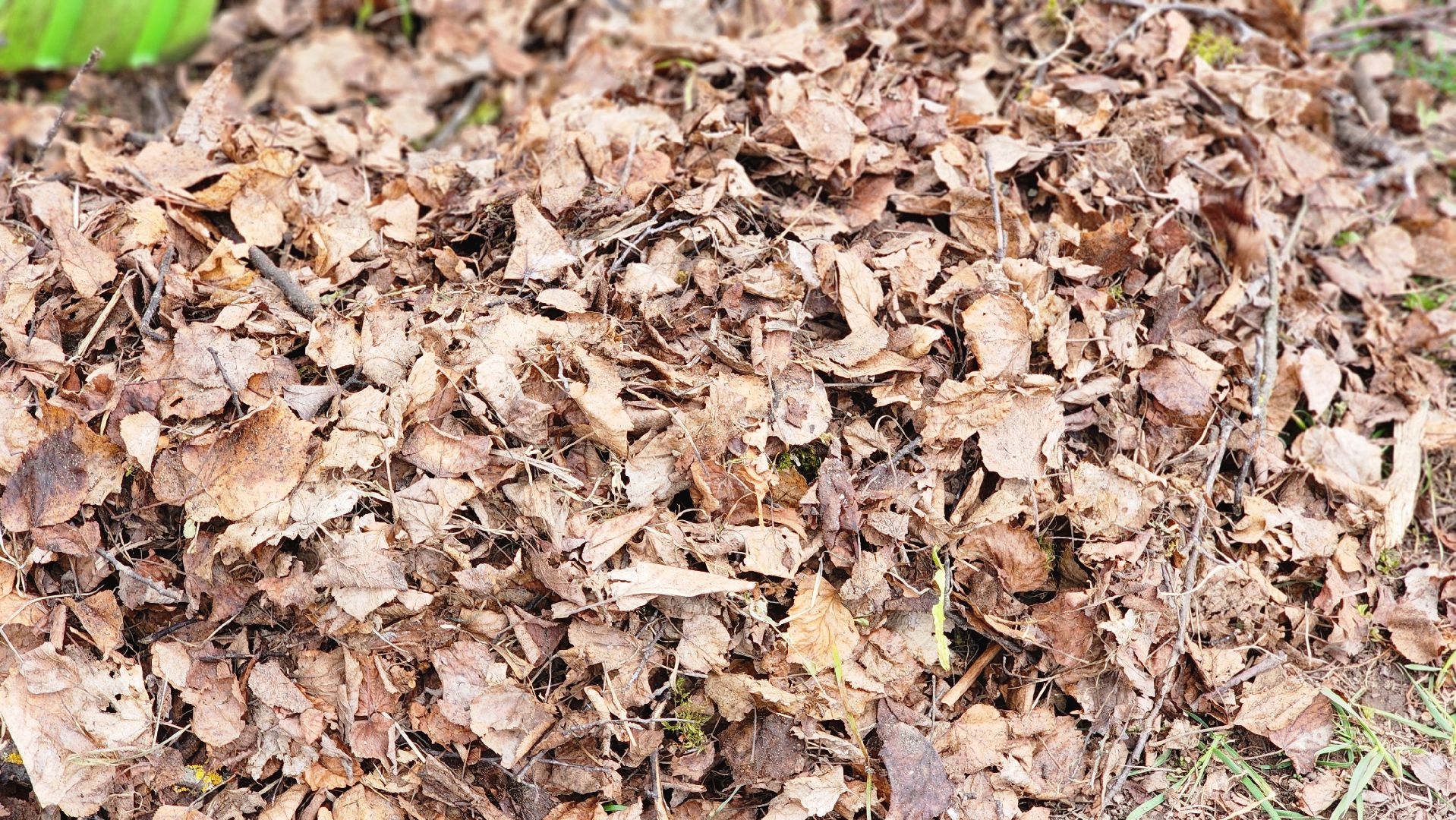 сквер, субботник, коммунальщики, руза,благоустройство,