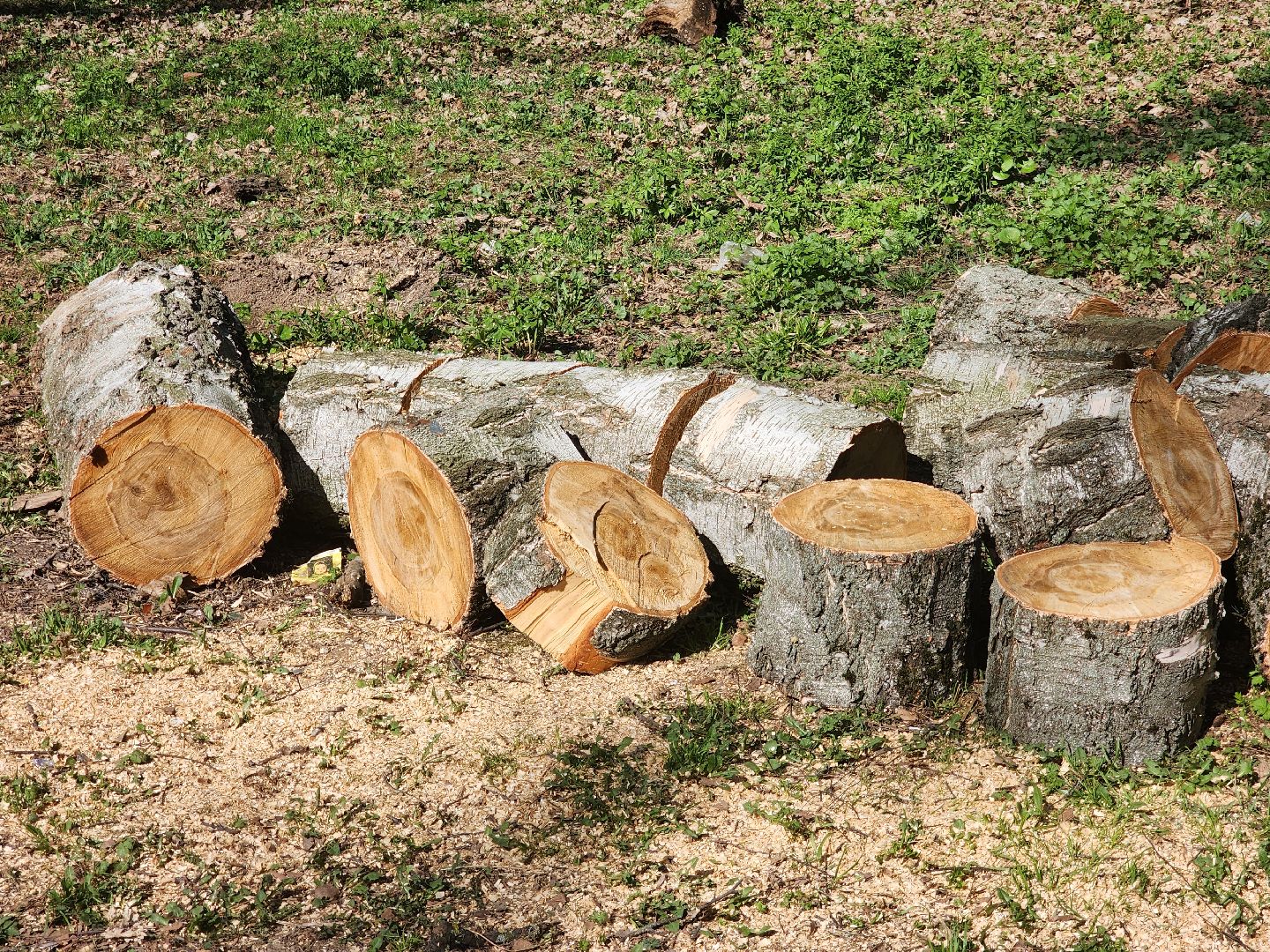 подольск, благоустройство, Парк березки,