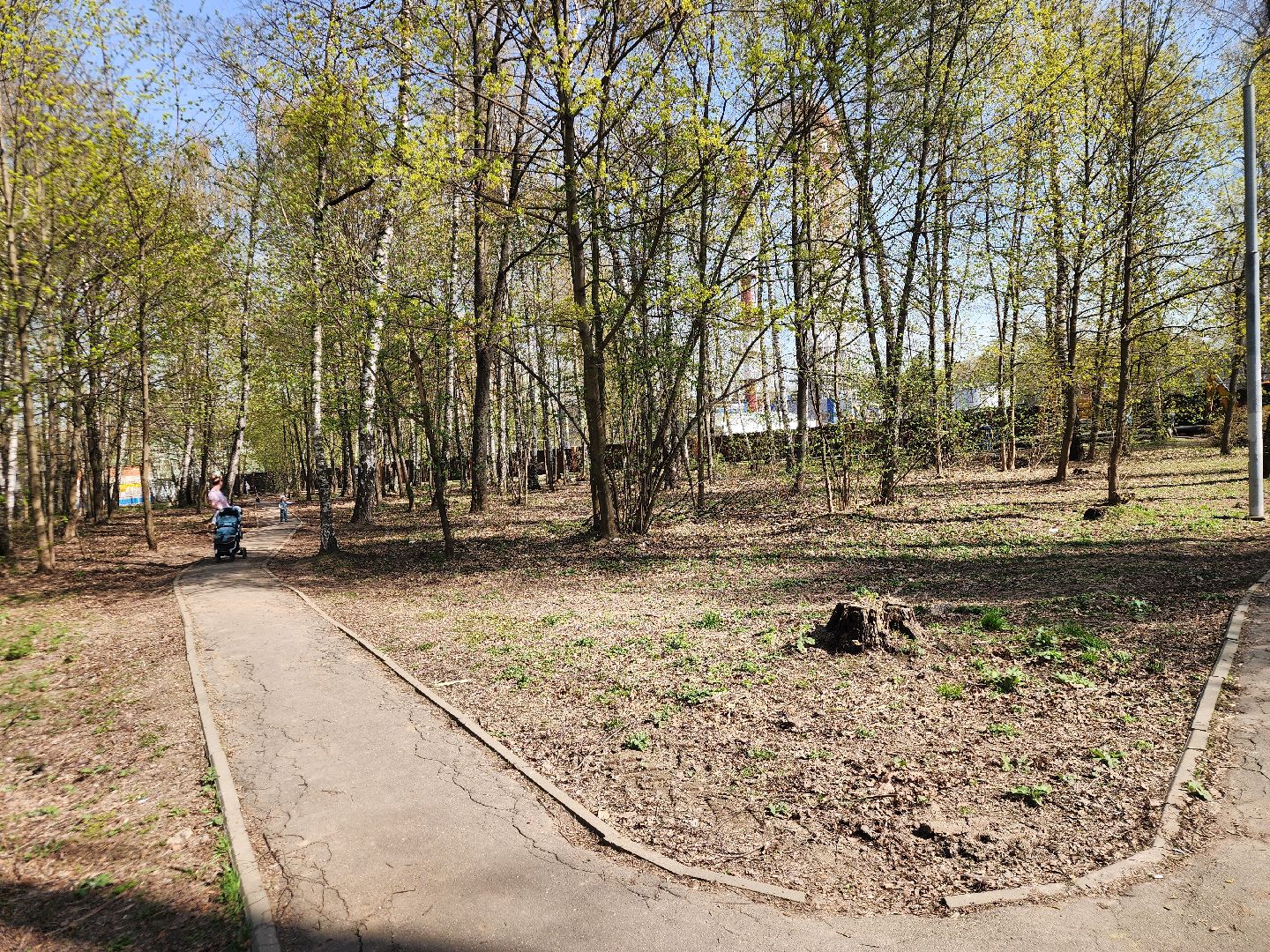 подольск, благоустройство, Парк березки,