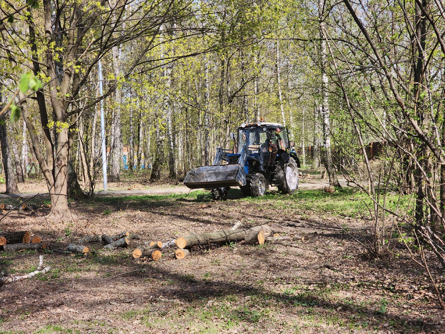 подольск, благоустройство, Парк березки,