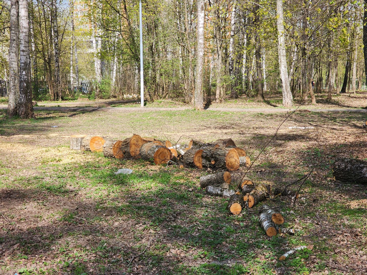 подольск, благоустройство, Парк березки,