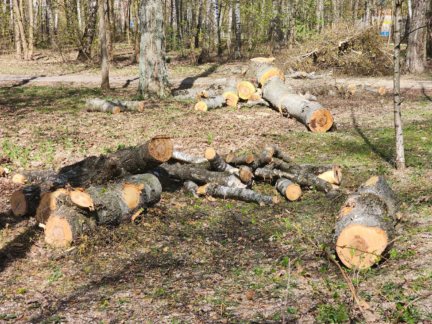 подольск, благоустройство, Парк березки,