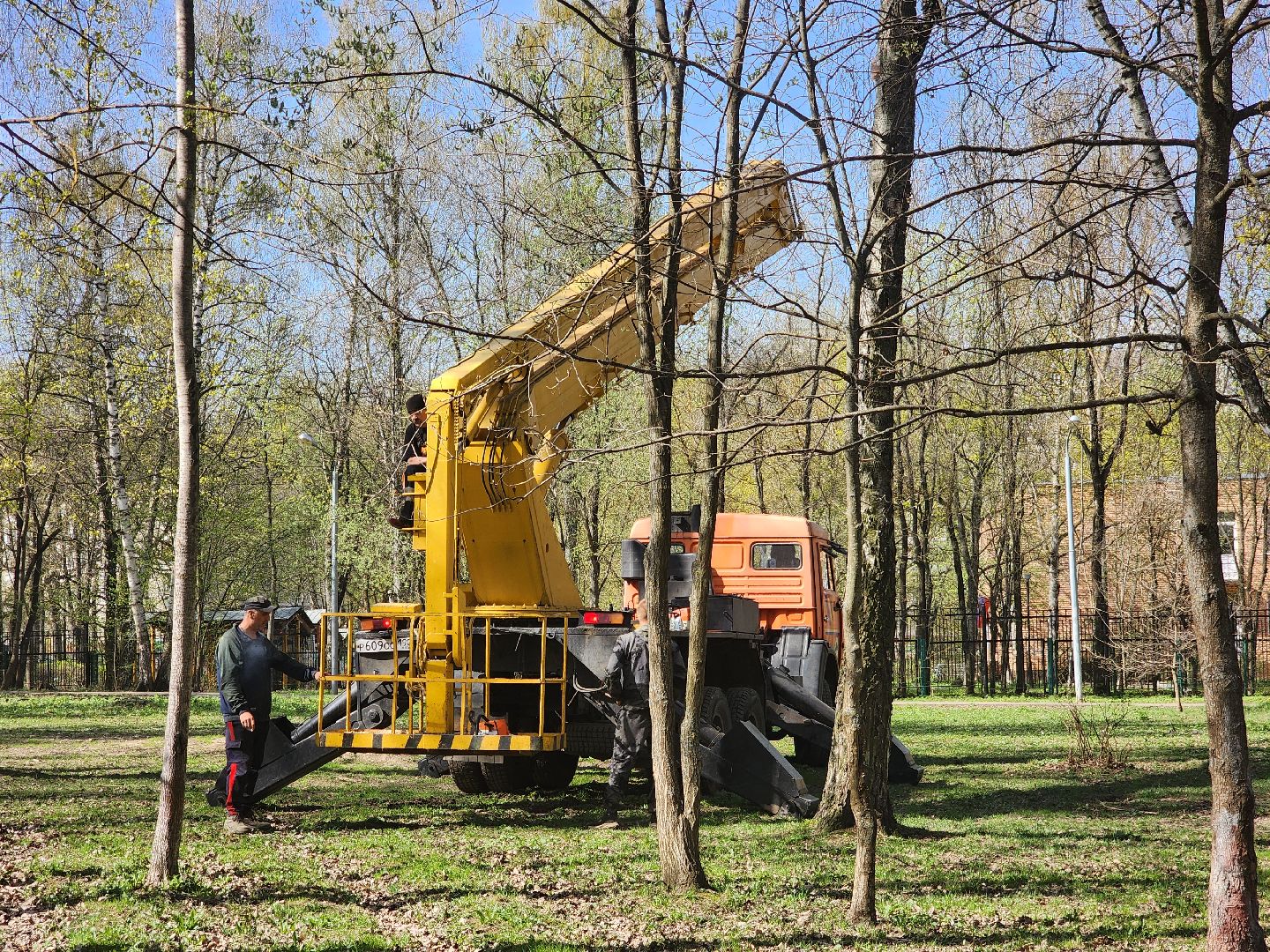 подольск, благоустройство, Парк березки,