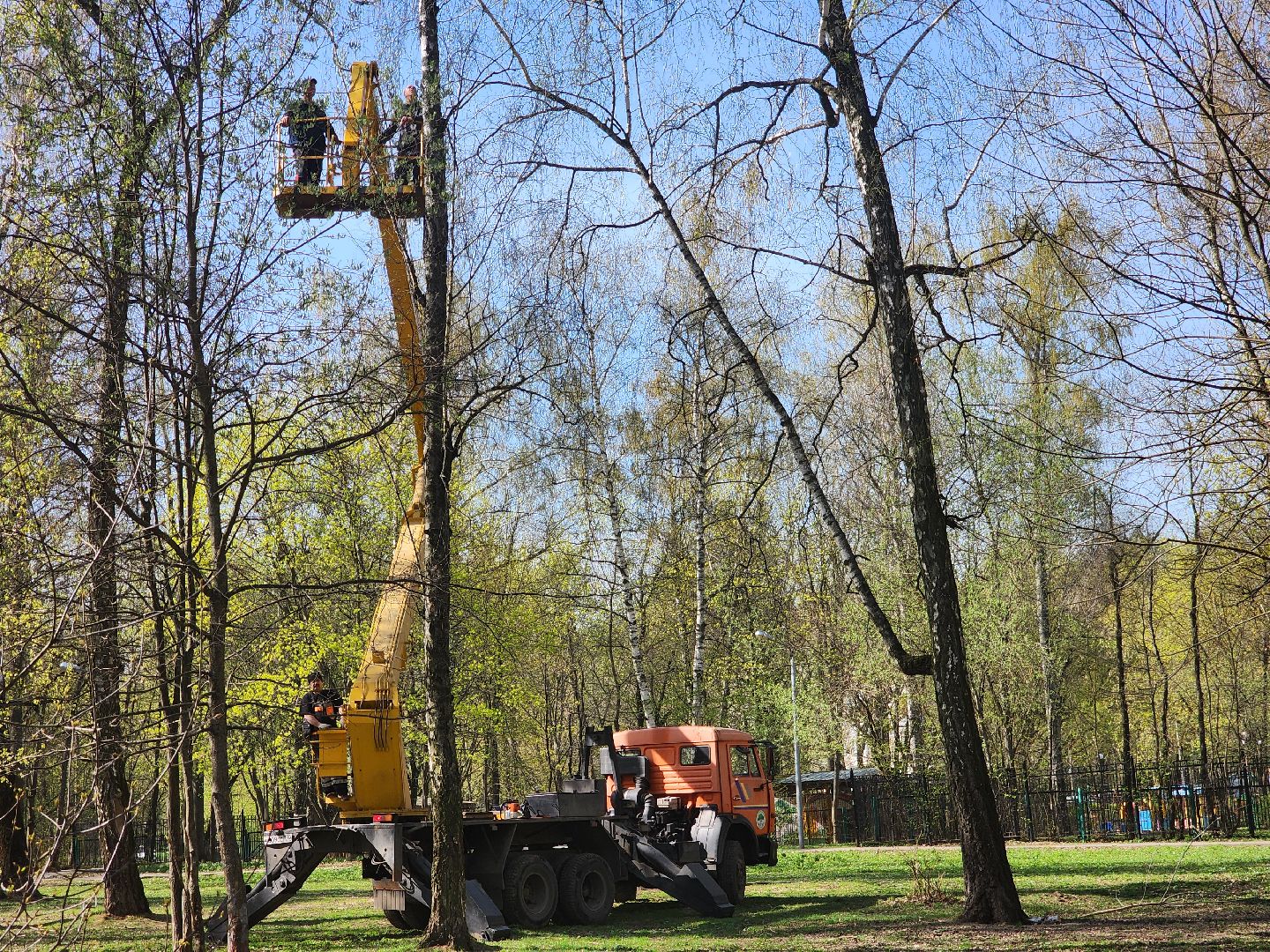подольск, благоустройство, Парк березки,